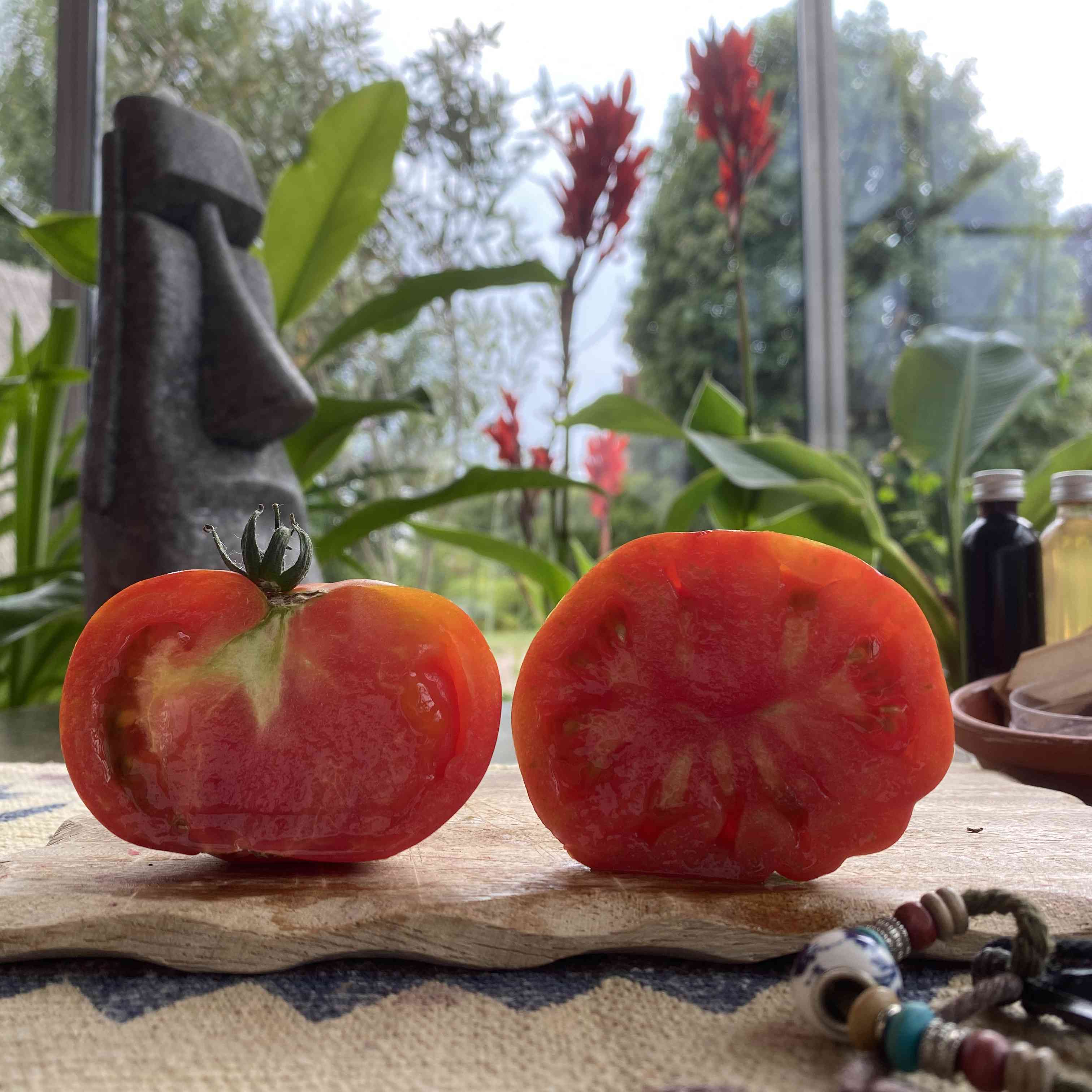 Tomatensaatgut Capricciosa