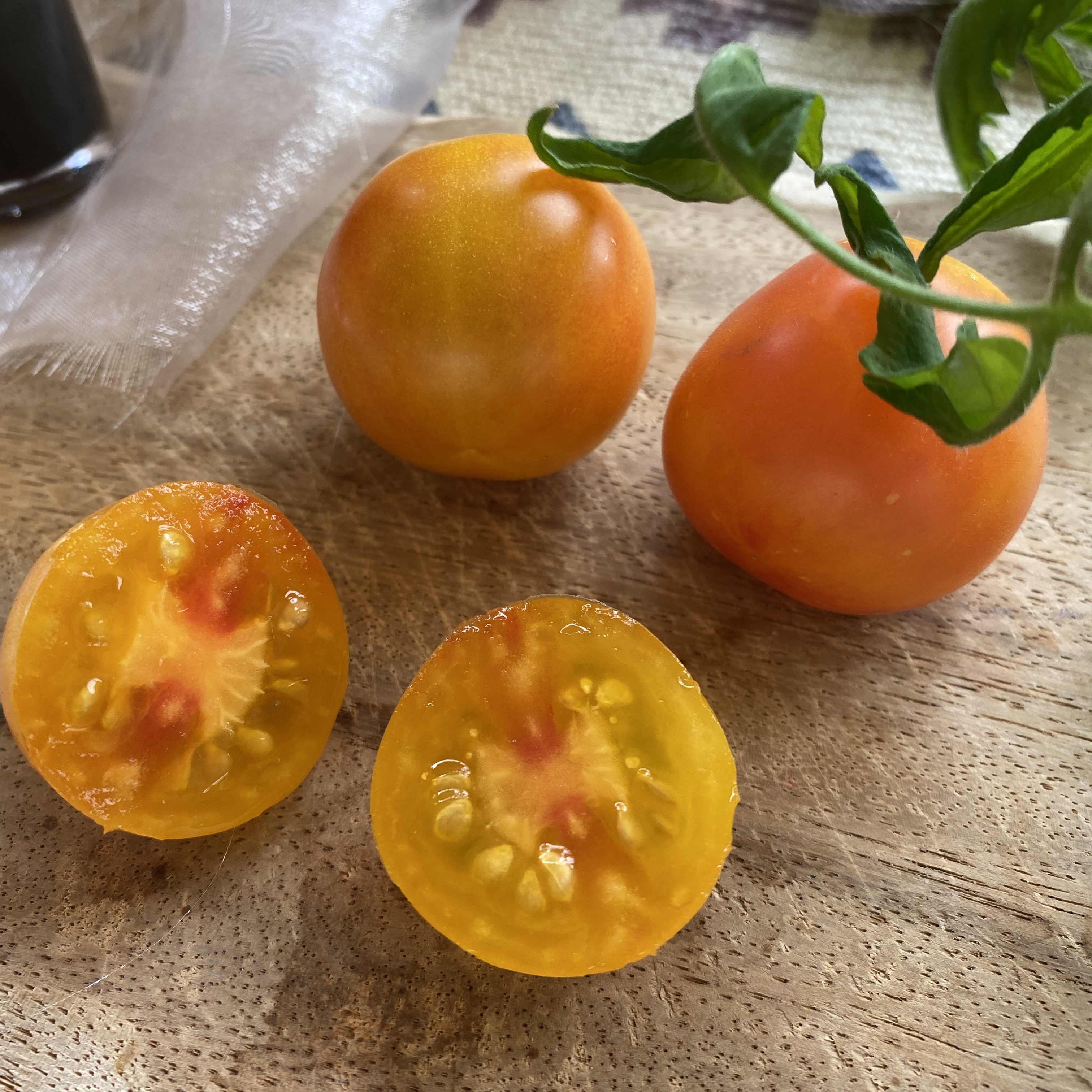Tomatensaatgut Marizol Gold Cherry