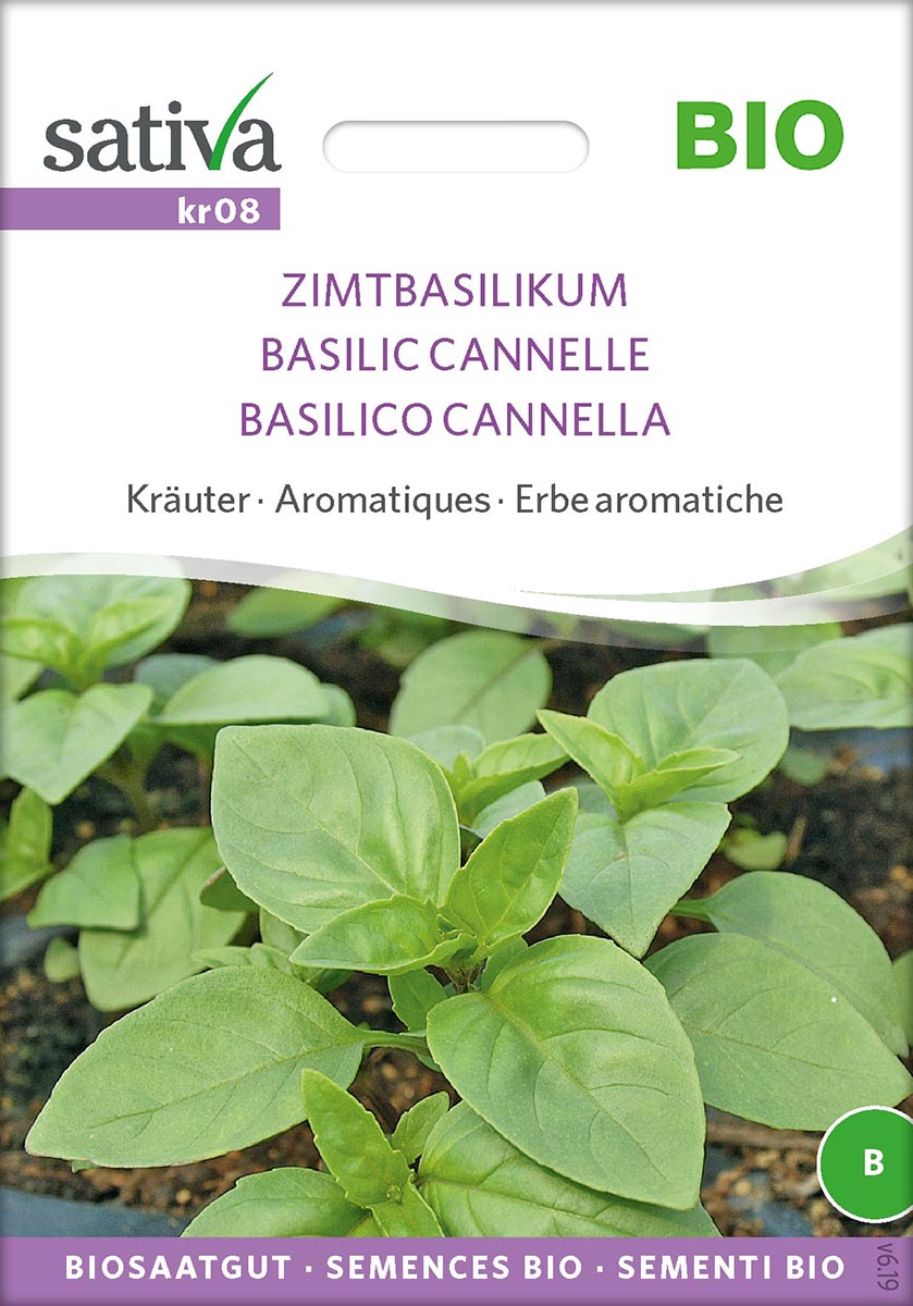 Saatgut Zimtbasilikum -S-