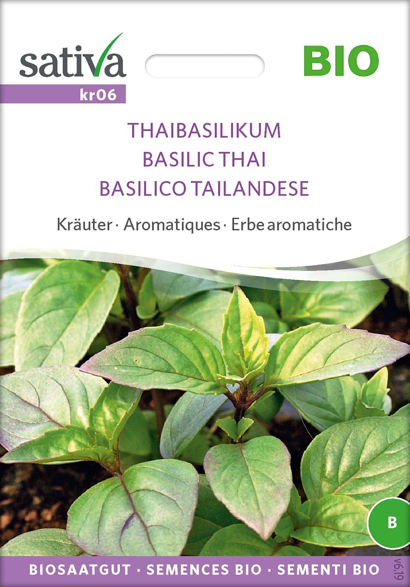 Saatgut Thaibasilikum -S-