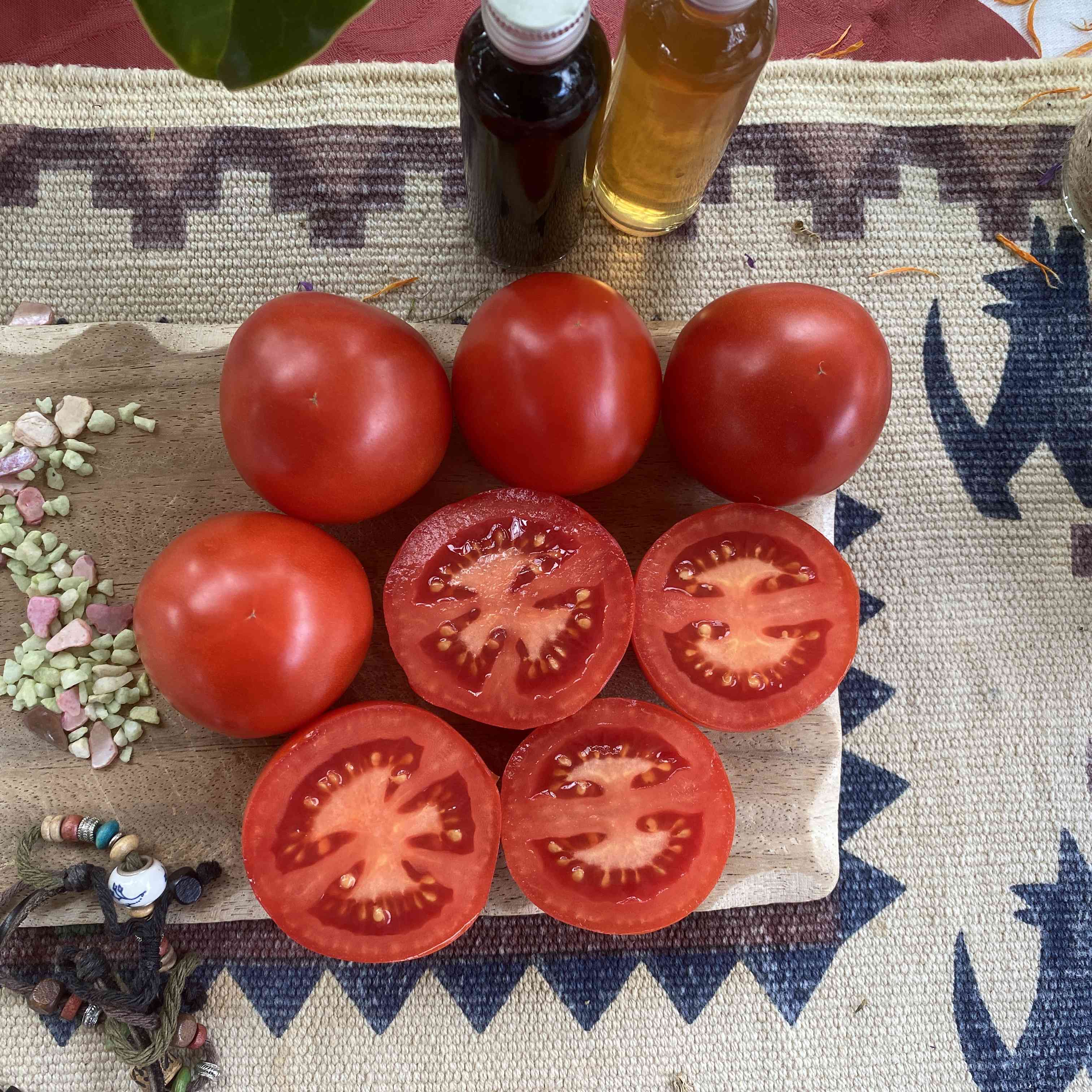 Tomatensaatgut Katja