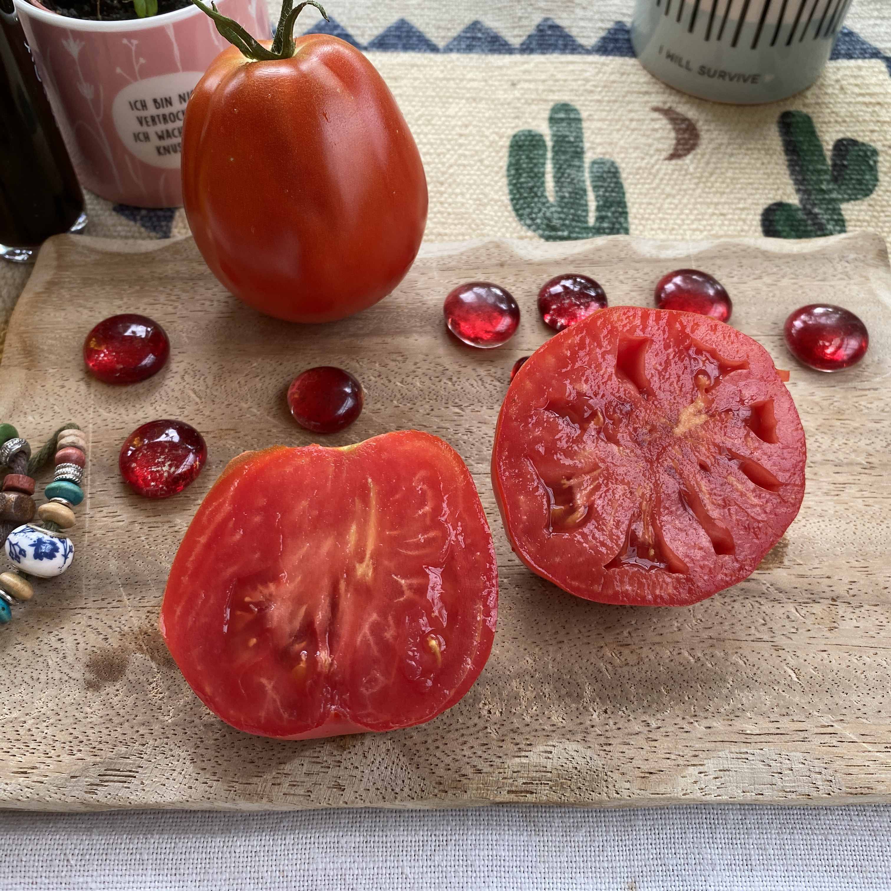 Tomatensaatgut Albenga
