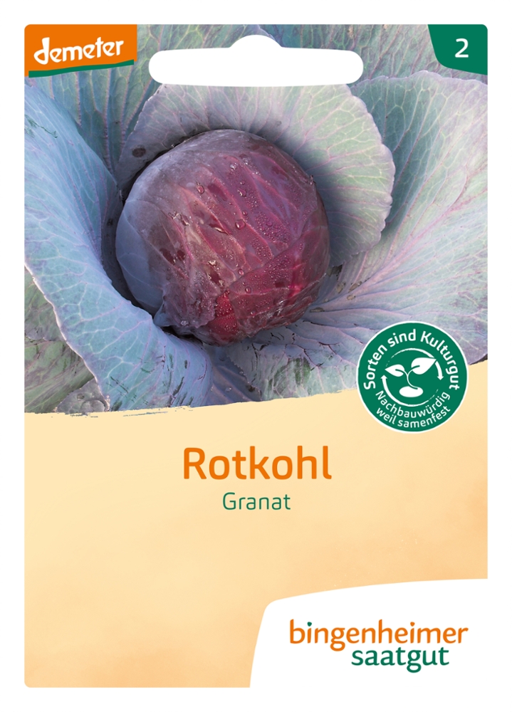 Saatgut Rotkohl Granat -B- 