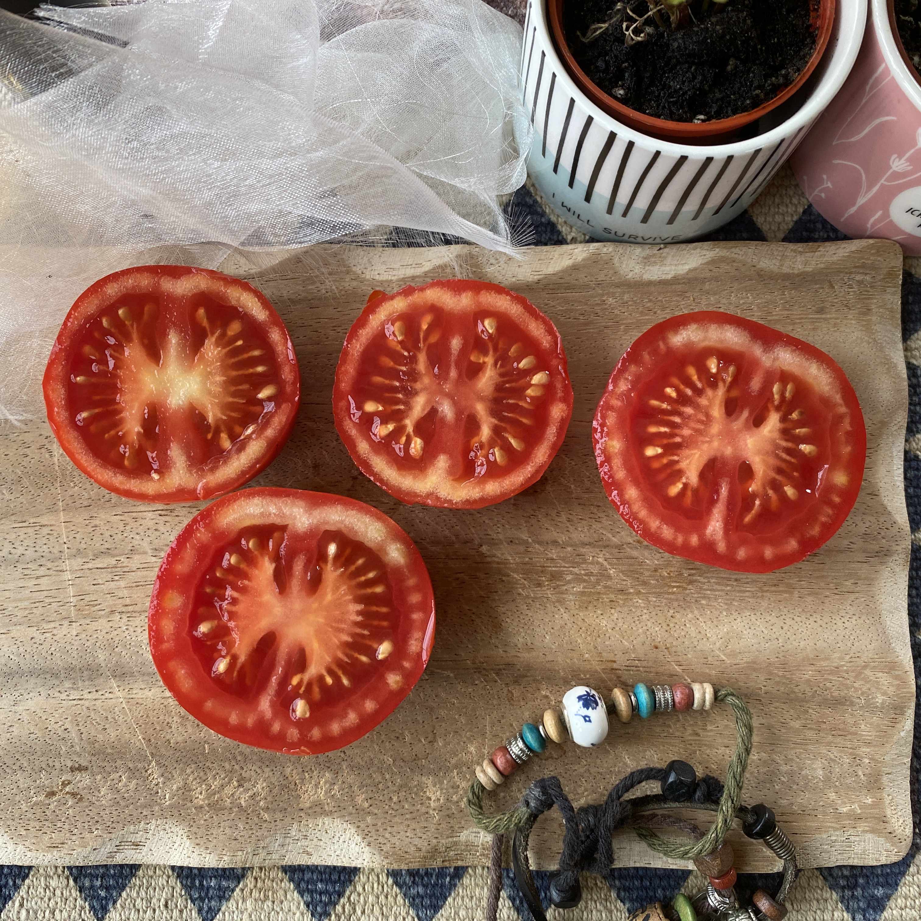 Tomatensaatgut Frembgen's Rheinlands Ruhm