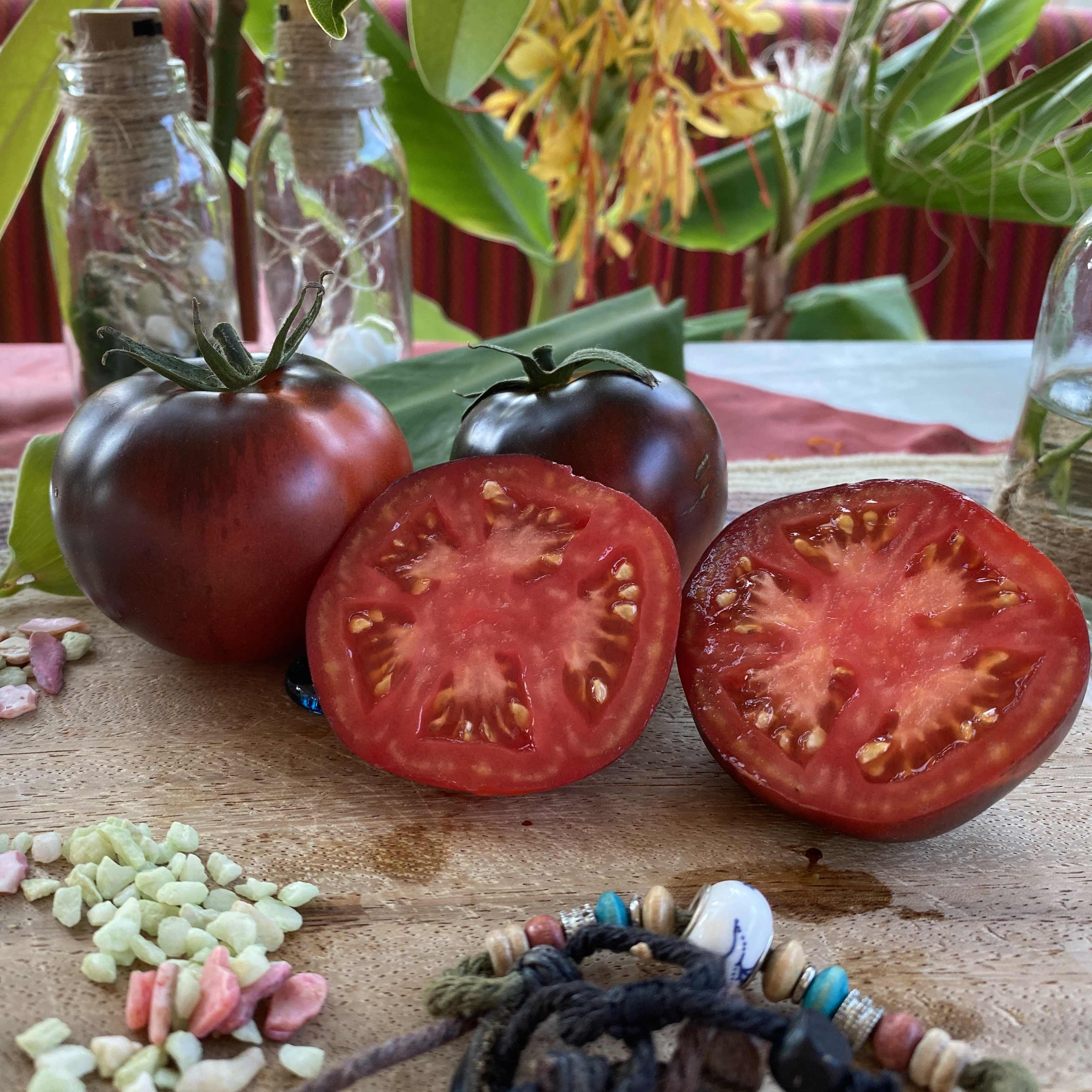 Tomatensaatgut Nicht Blue Angel 