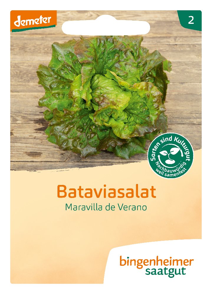 Saatgut Batavia Salat Maravilla Verano -B-