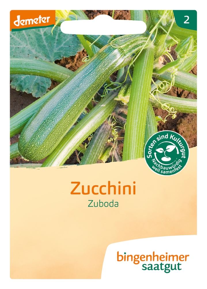 Saatgut Zucchini Zuboda -B-