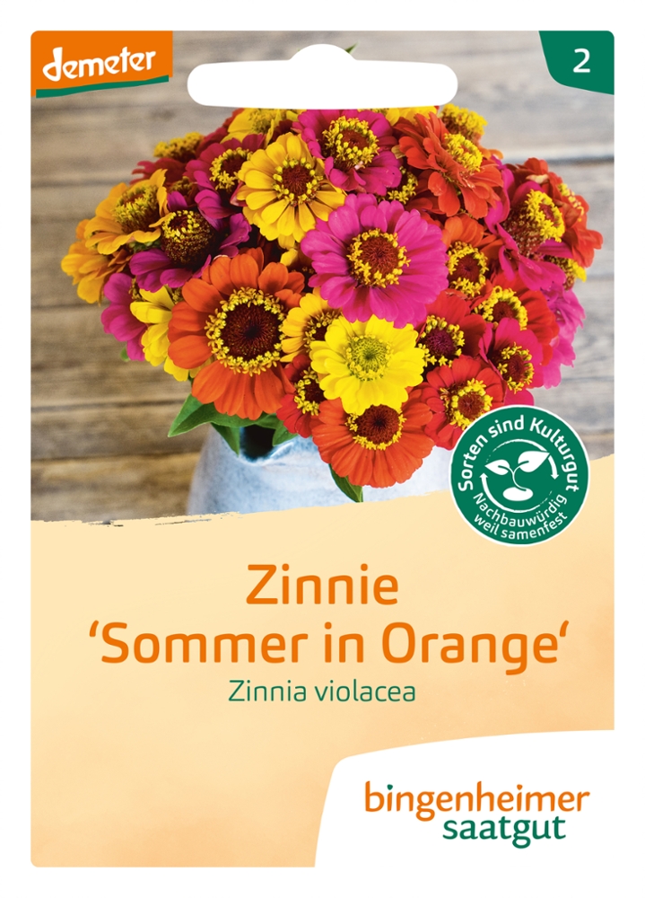 Saatgut Zinnie Sommer in Orange -B-