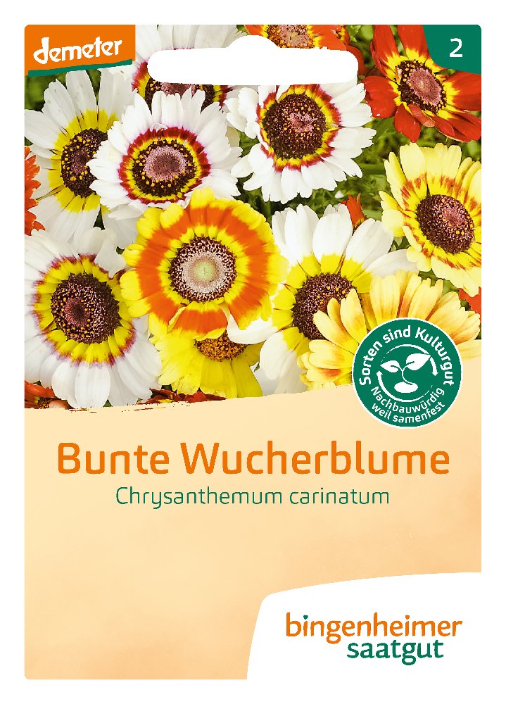 Saatgut Bunte Wucherblume -B-