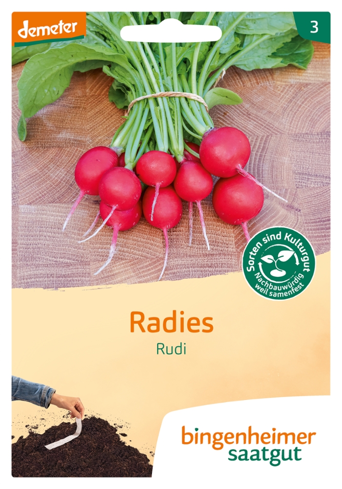 Saatband Radies Rudi -B-