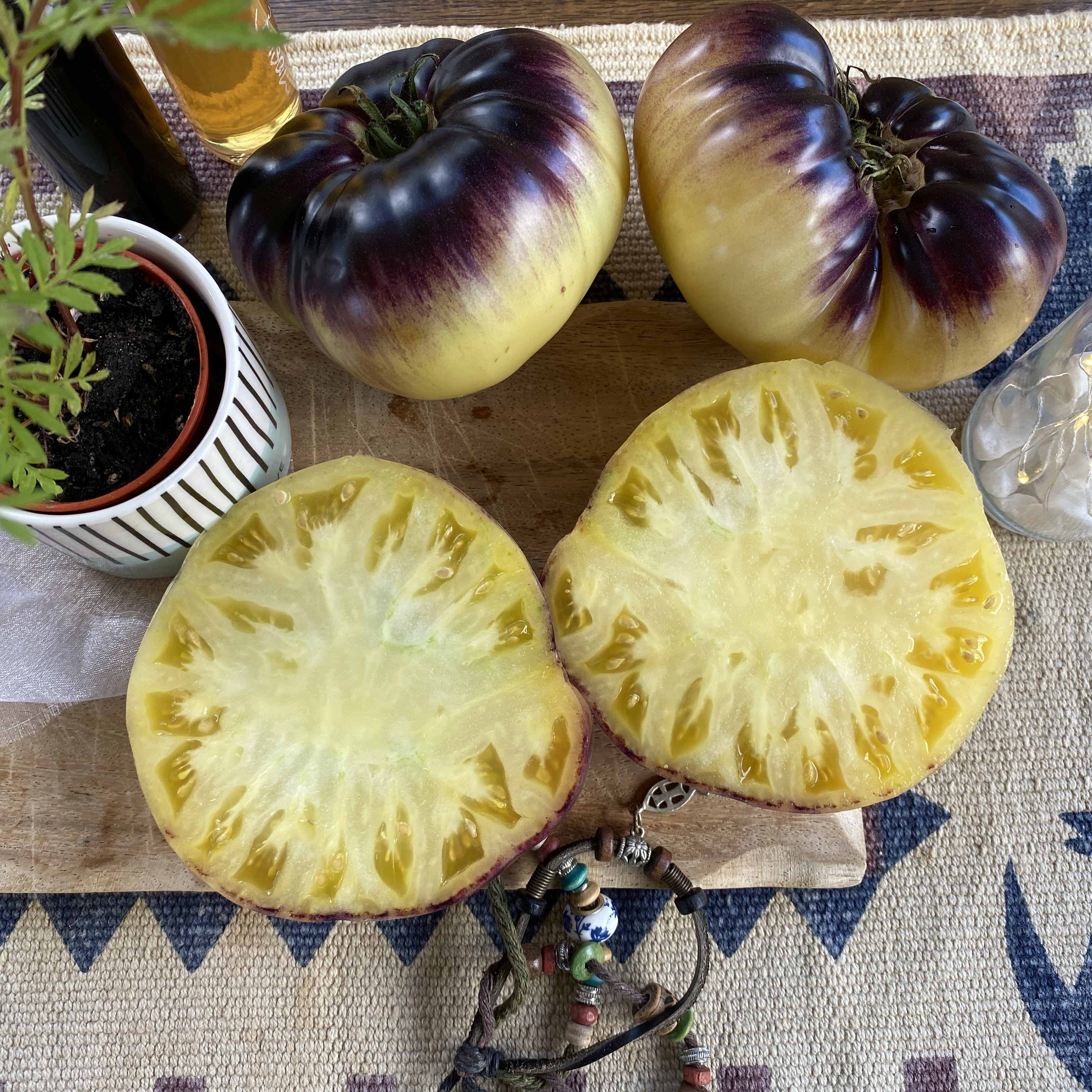 Saatgut Samen Von Der Tomate Sart Reloise