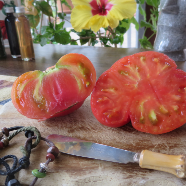 Rote alte Tomatensorte