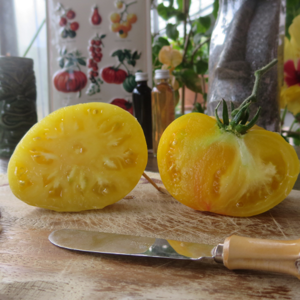 Gelbe Tomatenfrucht mir tollem Geschmack