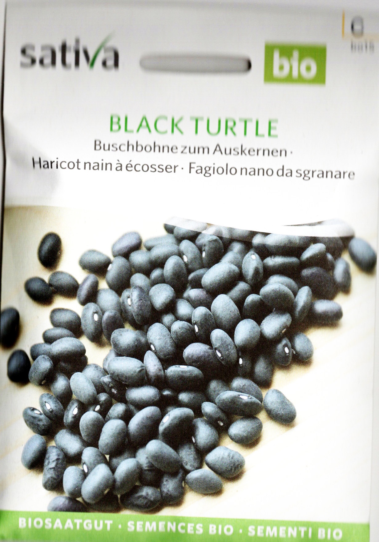 Saatgut Buschbohne Black Turtle -S-