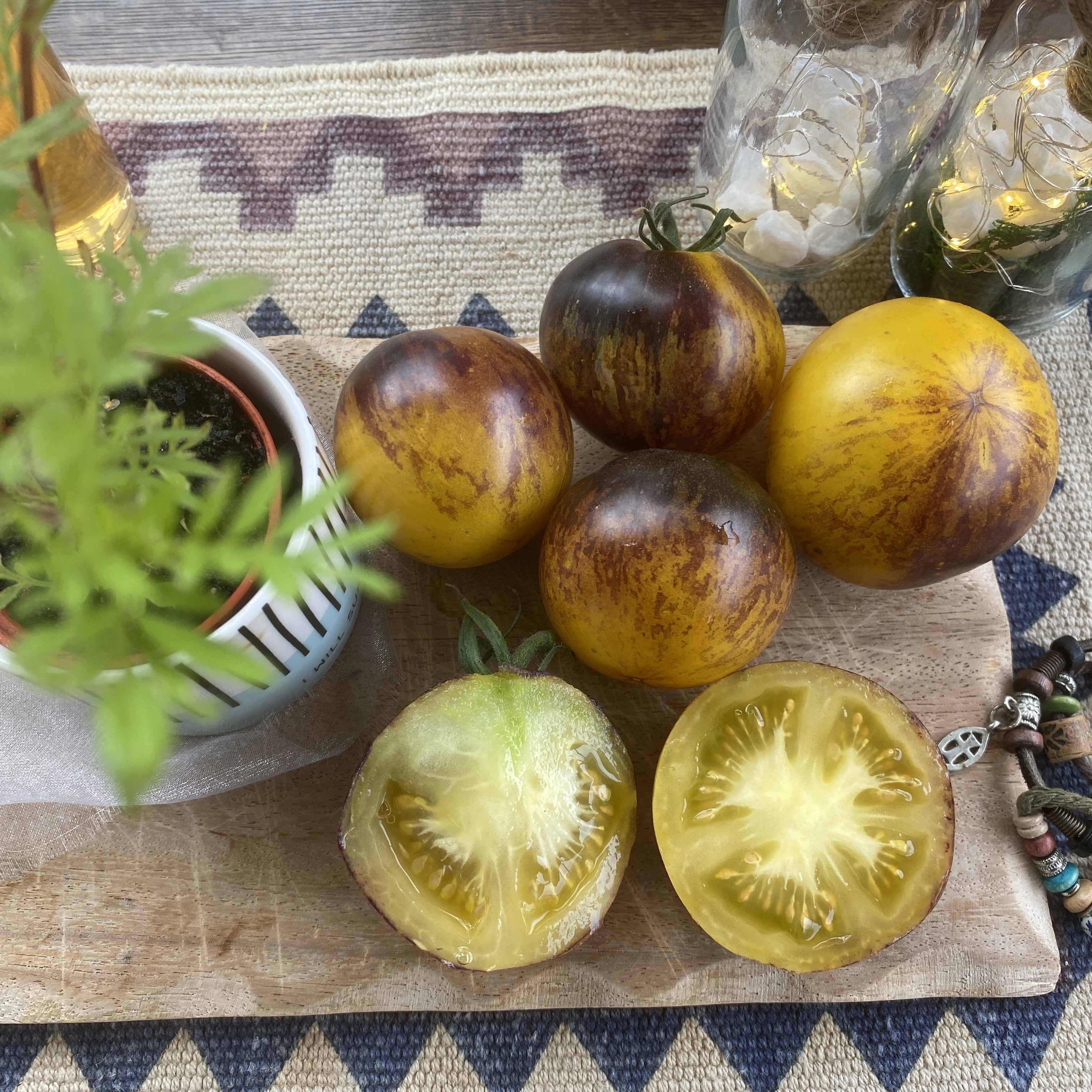 Tomatensaatgut Stripes of Yore