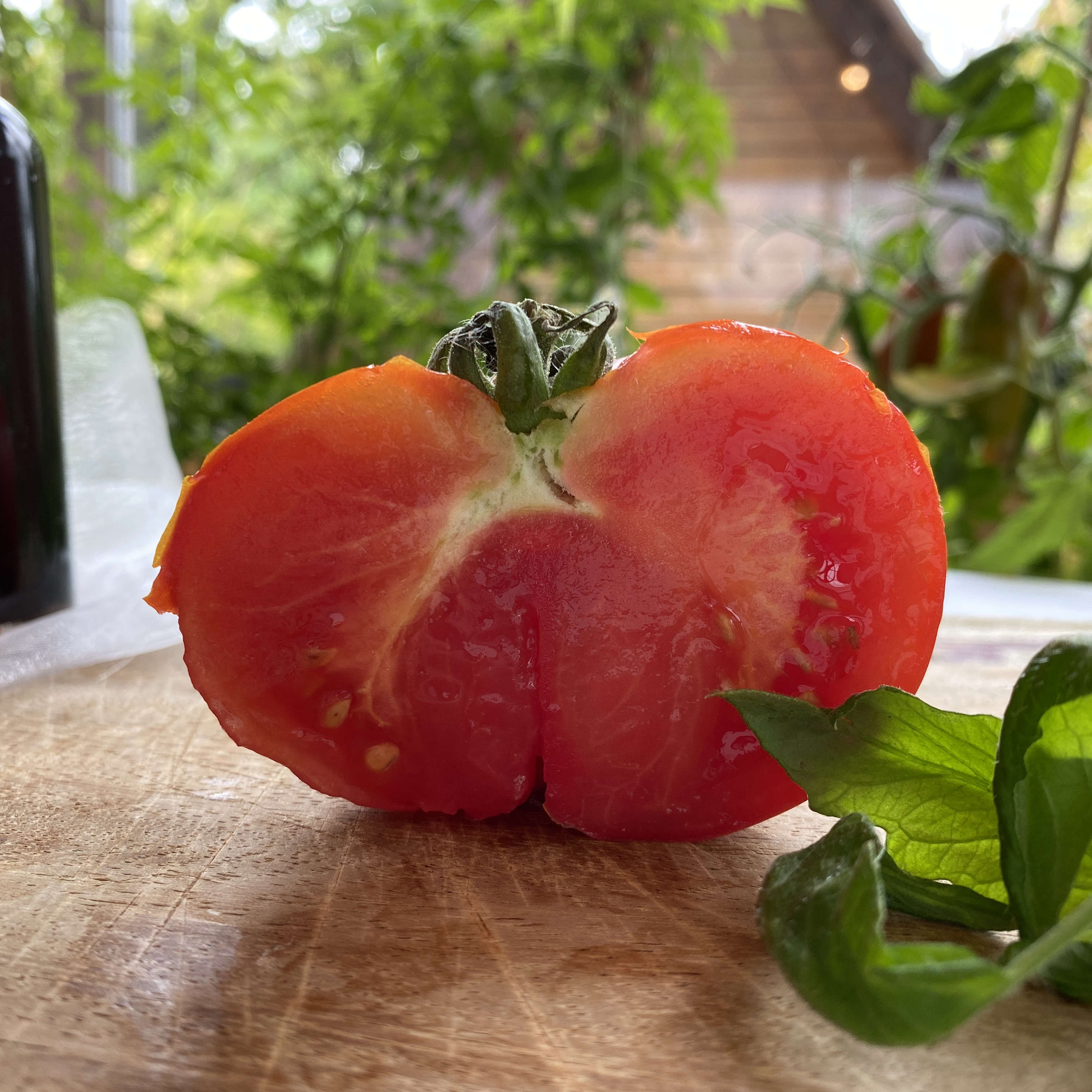 Tomatensaatgut Marmande