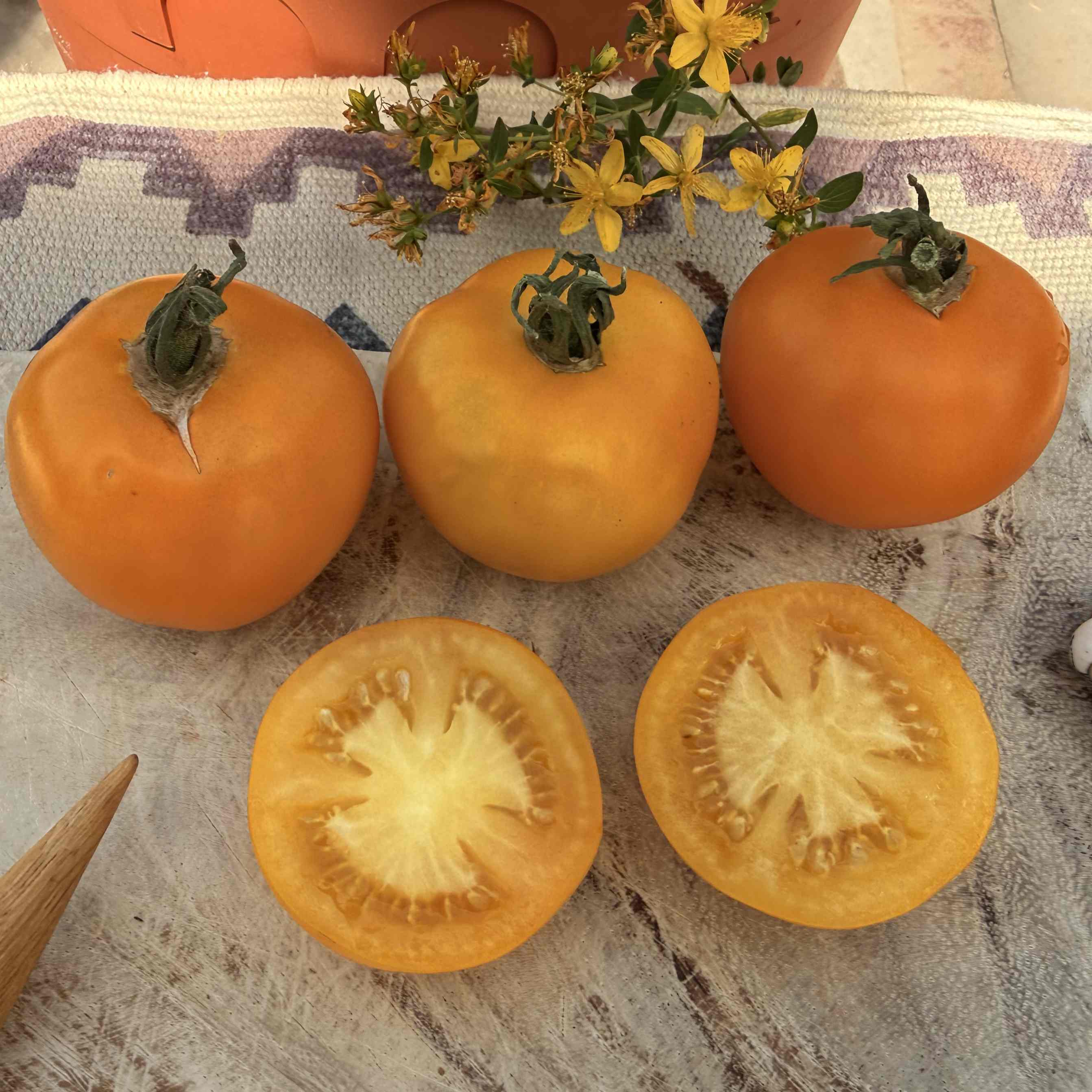Tomatensaatgut Tangerine