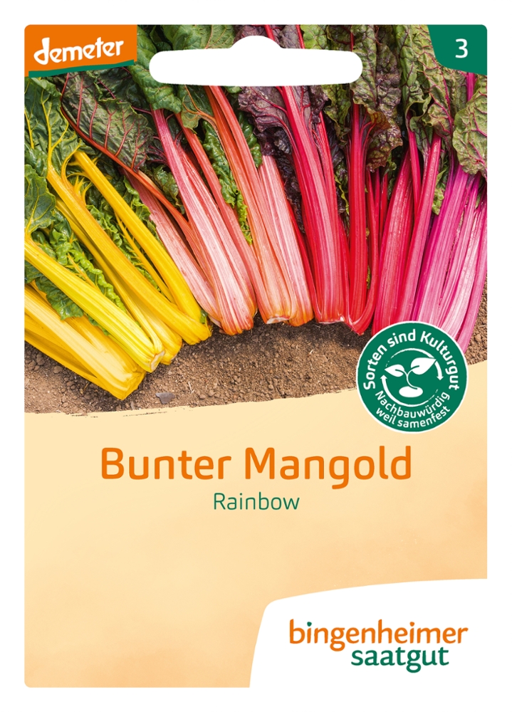 Saatgut Mangold Rainbow -B-