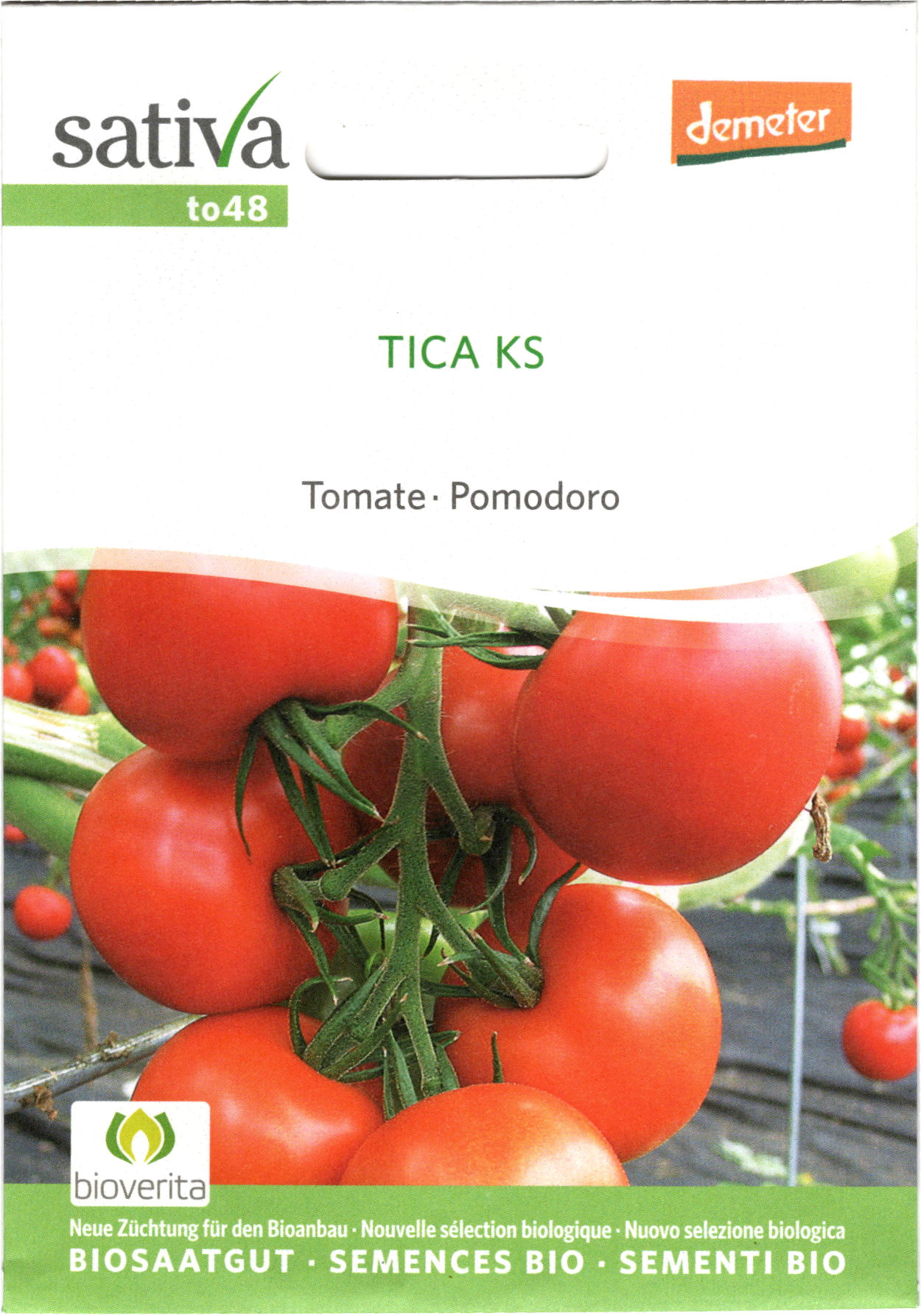 Tomatensaatgut Tica KS -S-