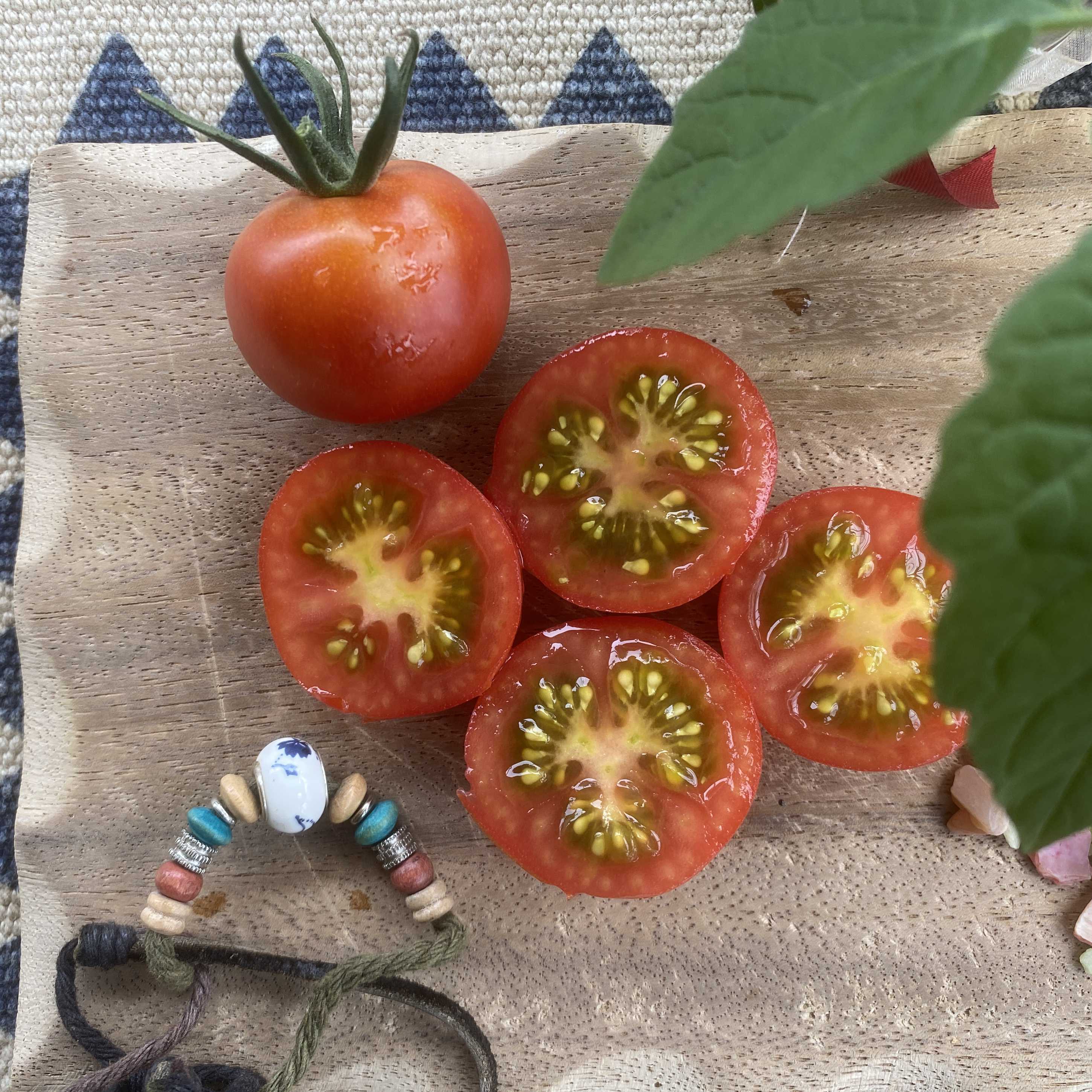 Tomatensaatgut Cerise Rot