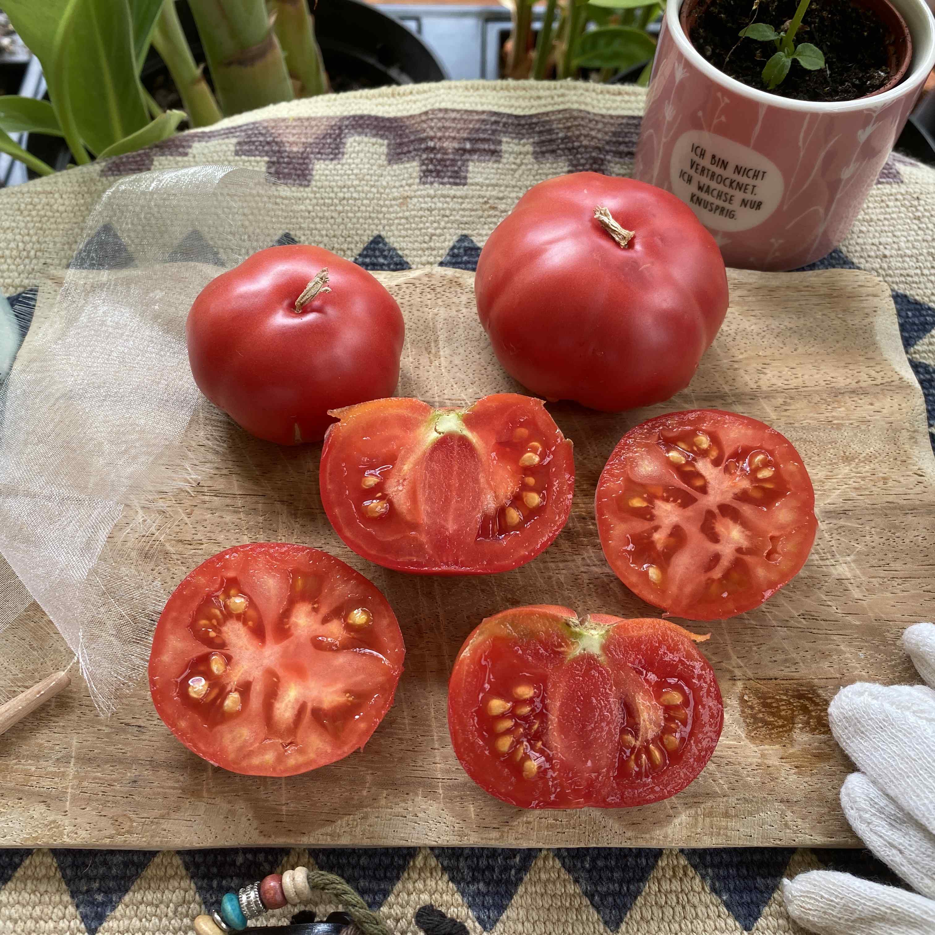 Tomatensaatgut Pink Bertoua