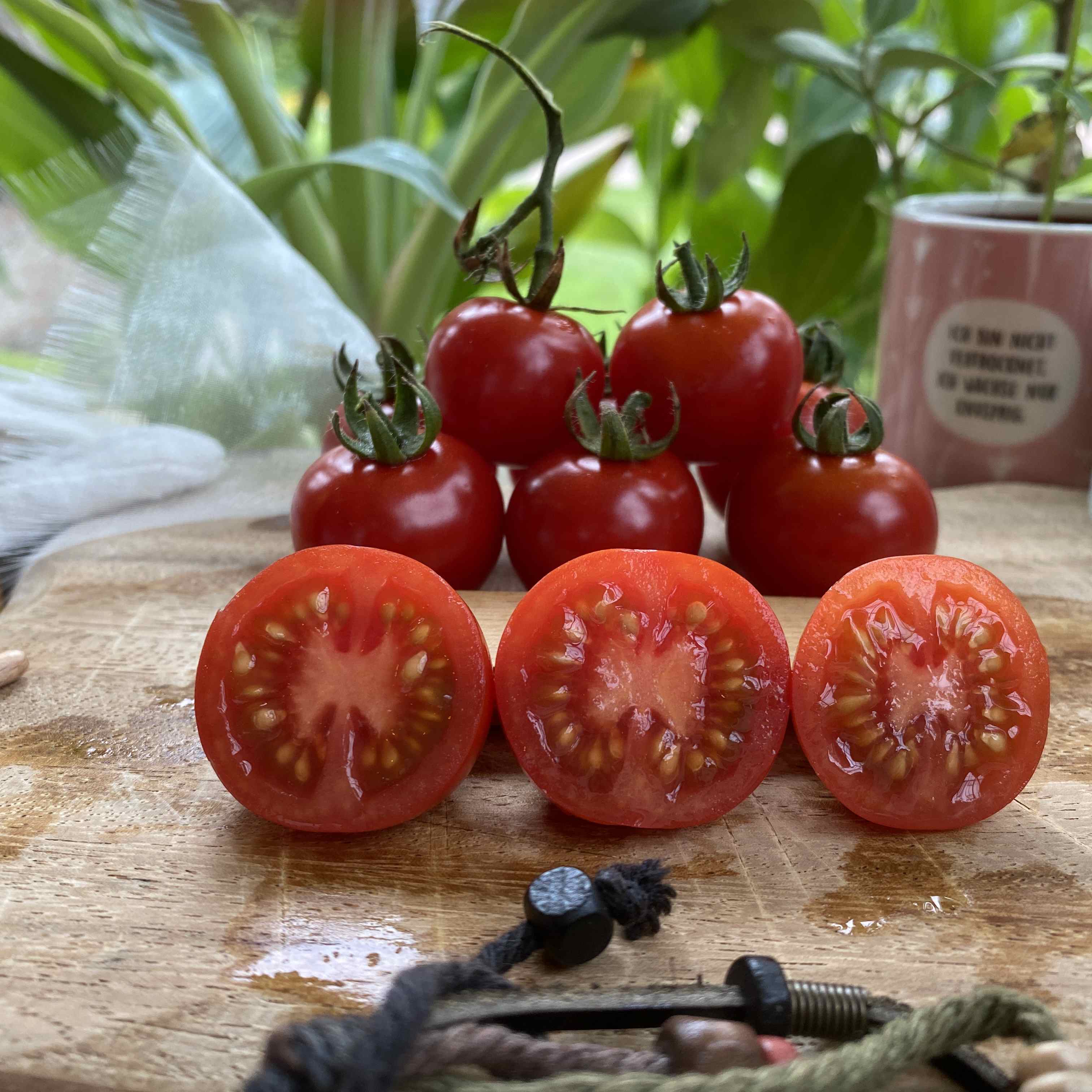 Tomatensaatgut Gärtners Lust
