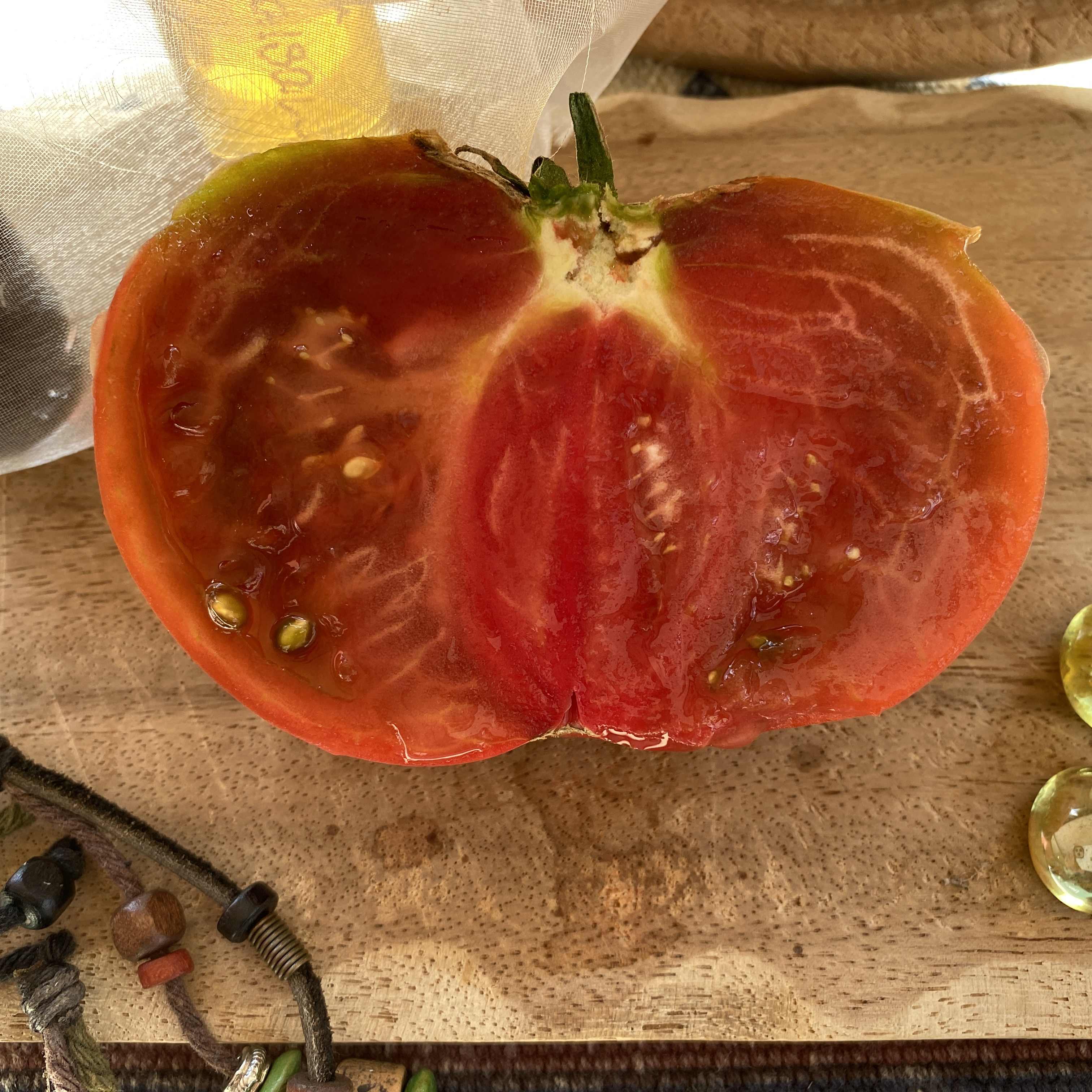 Tomatensaatgut Carbon