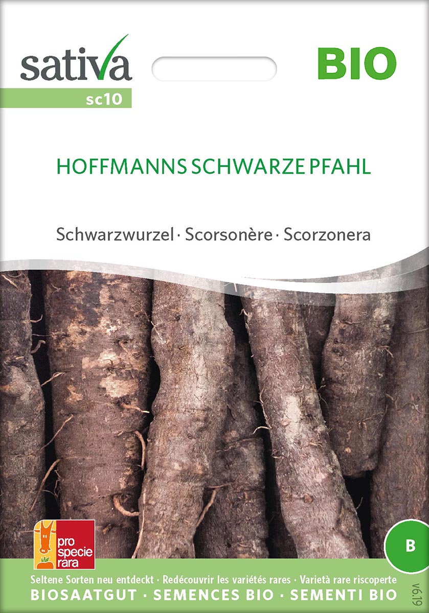 Saatgut Schwarzwurzel Hoffmanns schw. Pfahl -S-