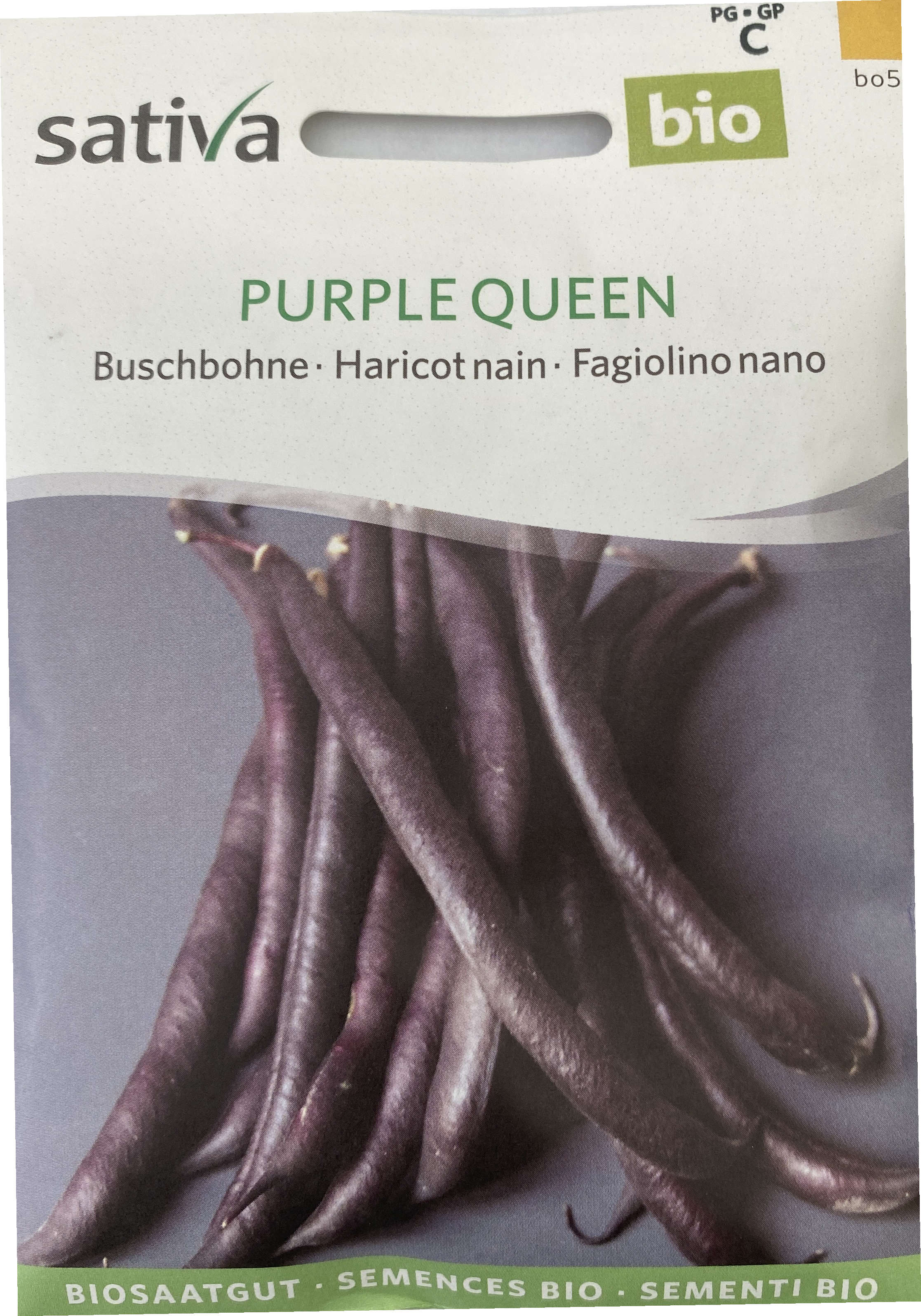 Saatgut Buschbohne Purple Queen -S- 