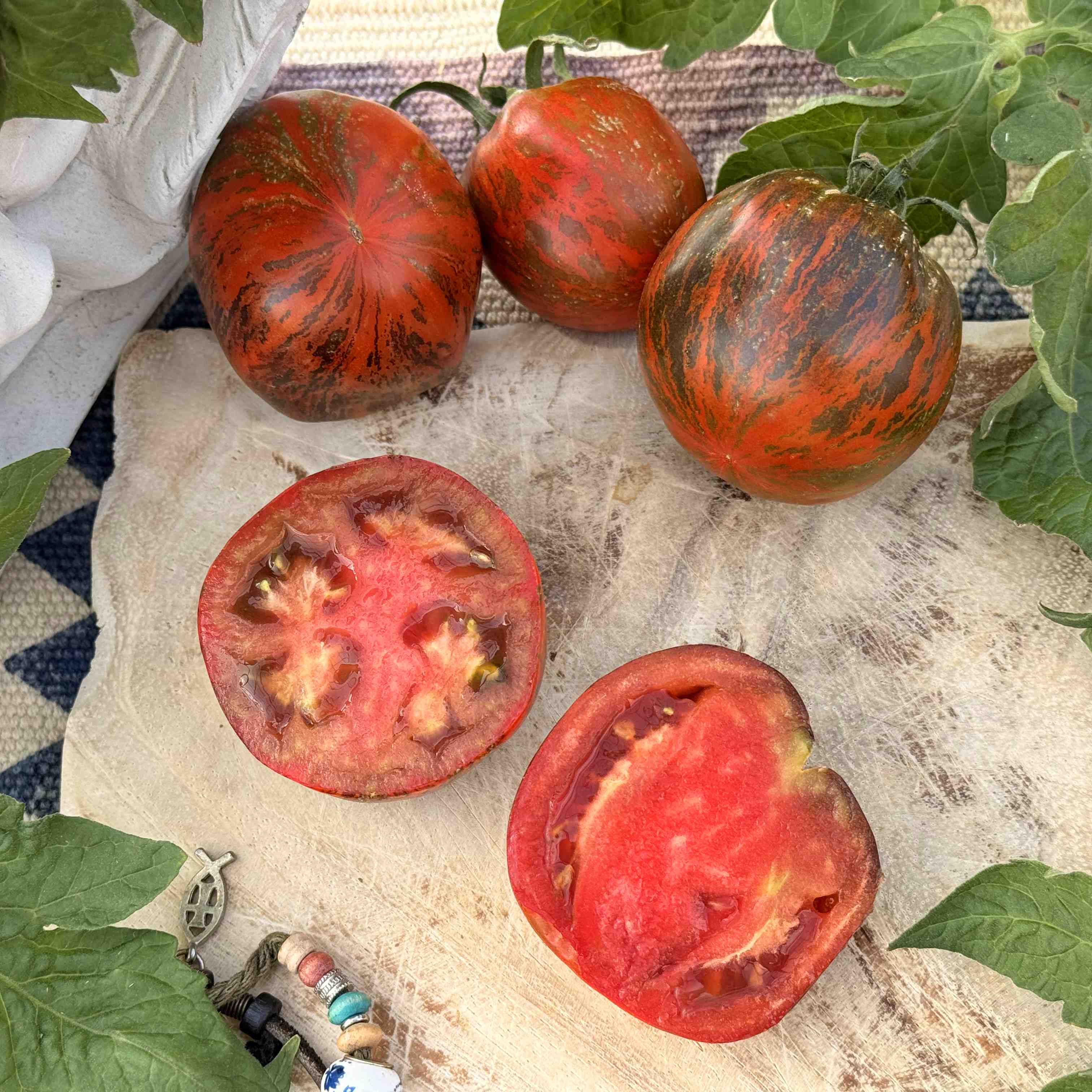 Tomatensaatgut E-Swamp