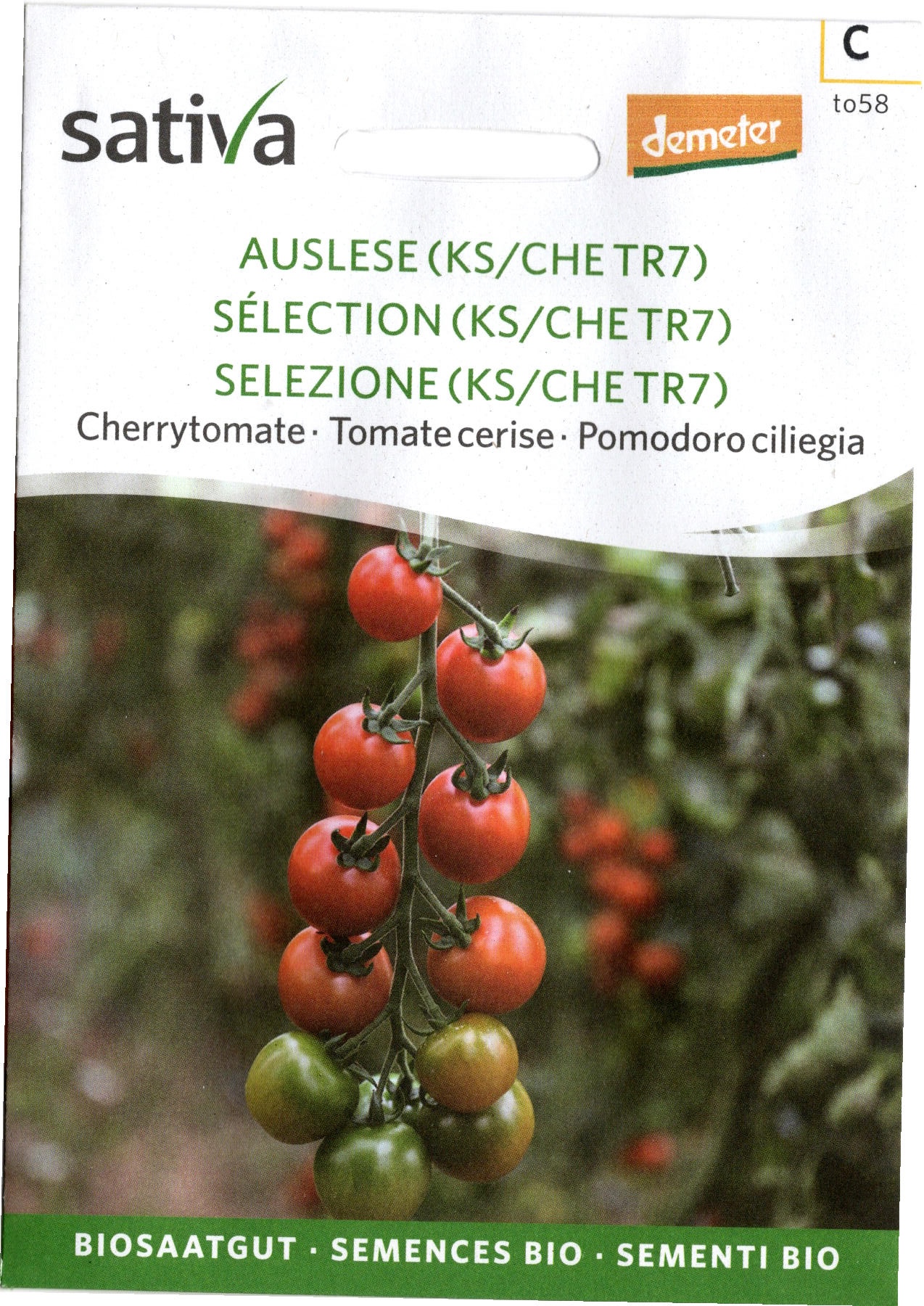 Tomatensaatgut Tiamarie (KS/CHE TR7) -S-