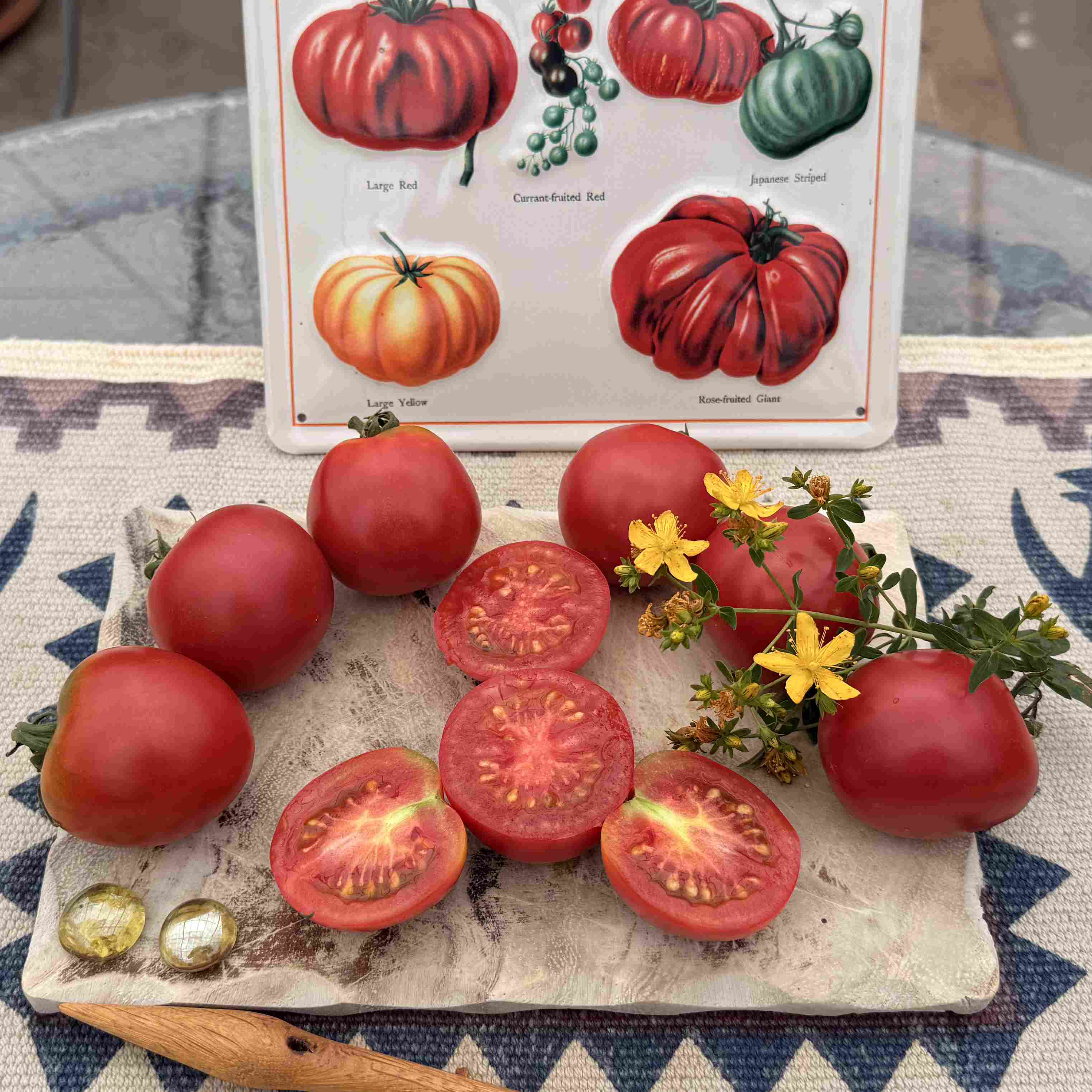 Tomatensaatgut Rosa Roma