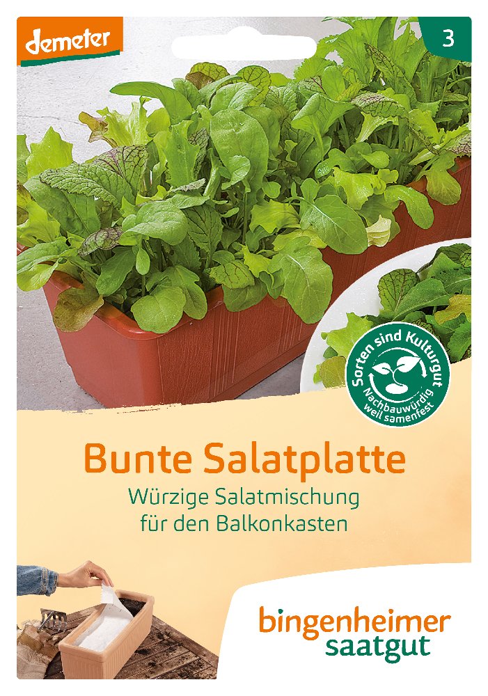 Saatplatte Bunte Salatplatte -B-