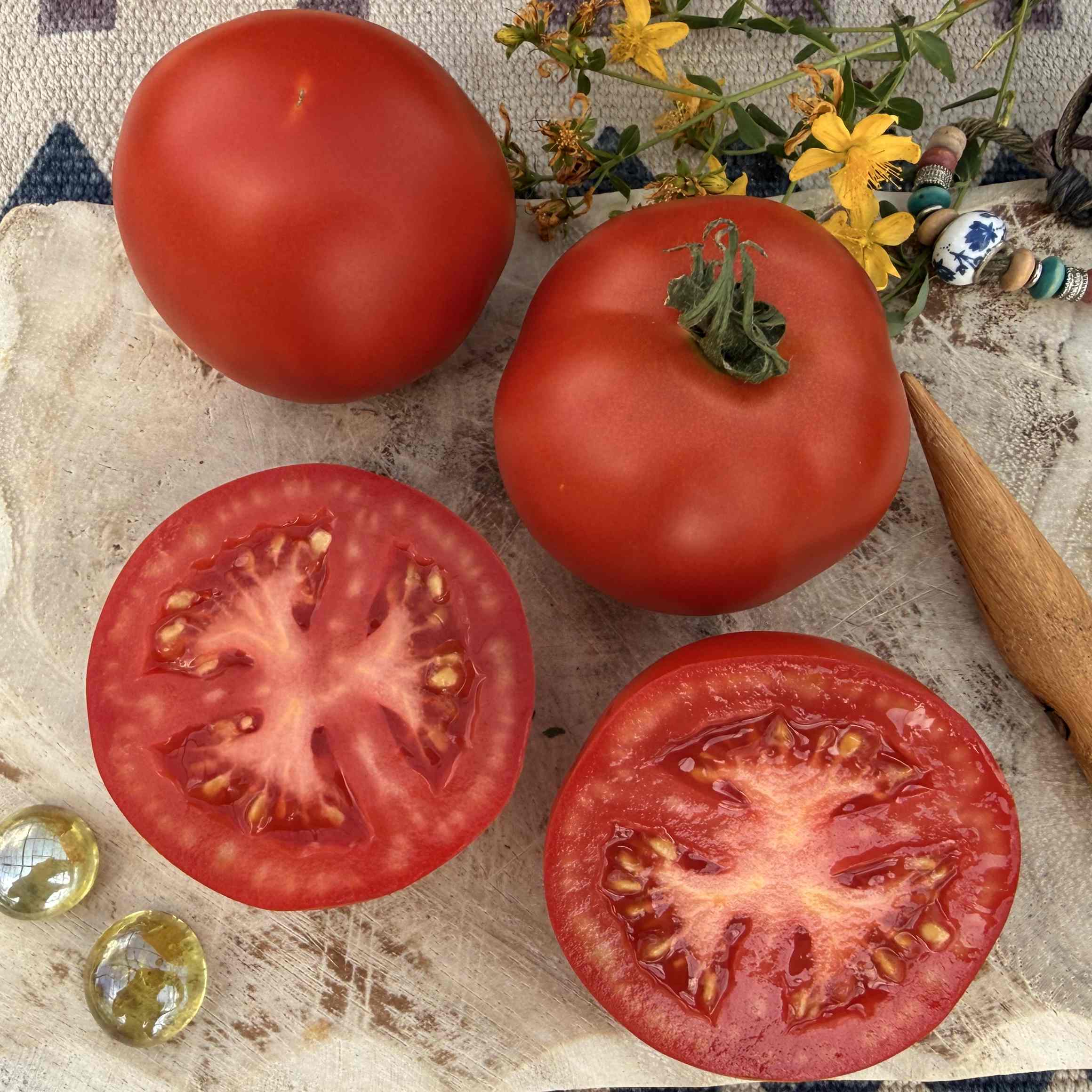 Tomatensaatgut Grit