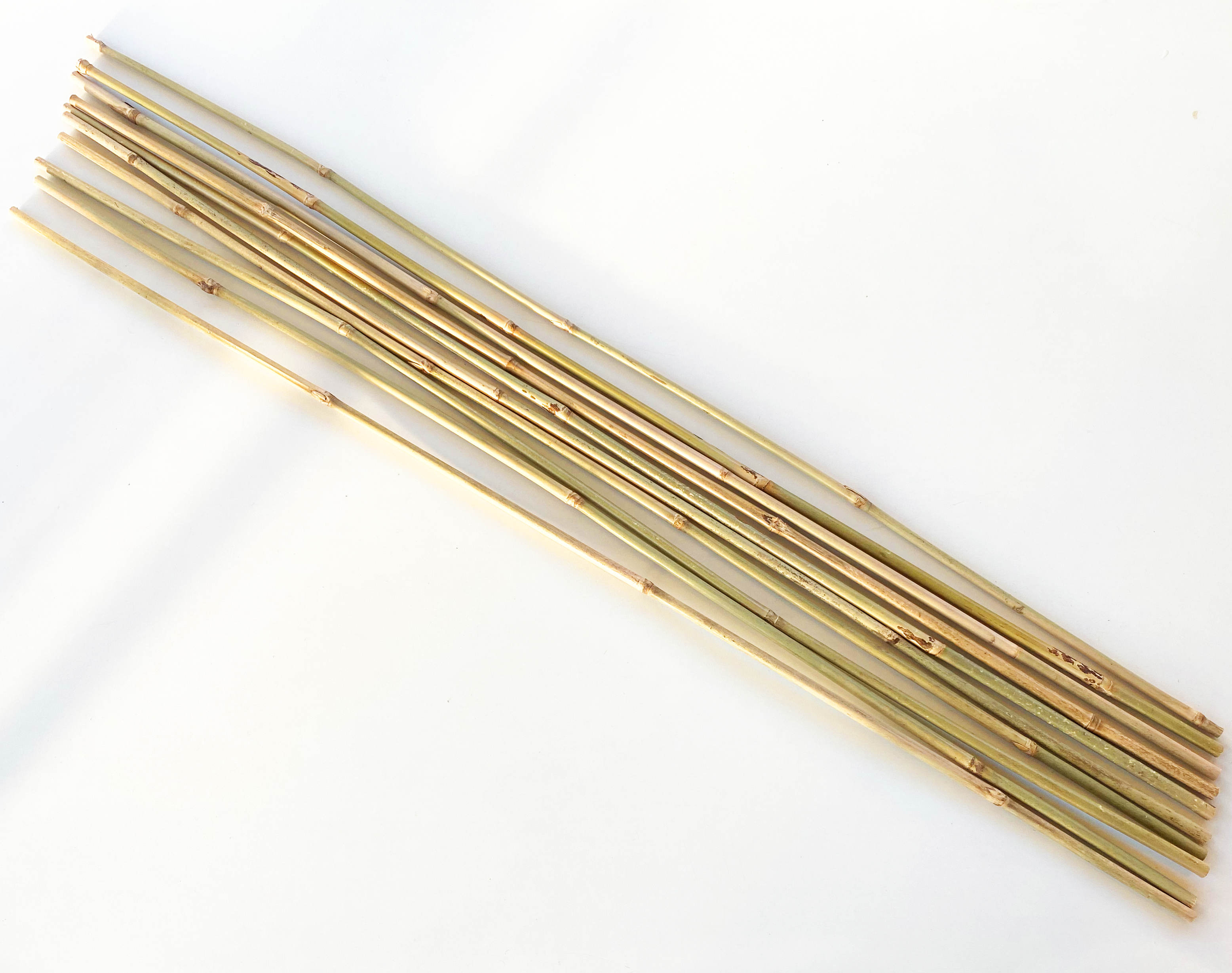 10 x Bambus- oder Tonkinstäbe 1m 