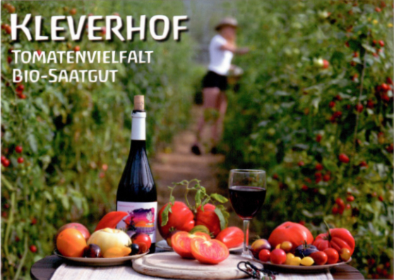 Postkarte Kleverhof Tomatenvielfalt