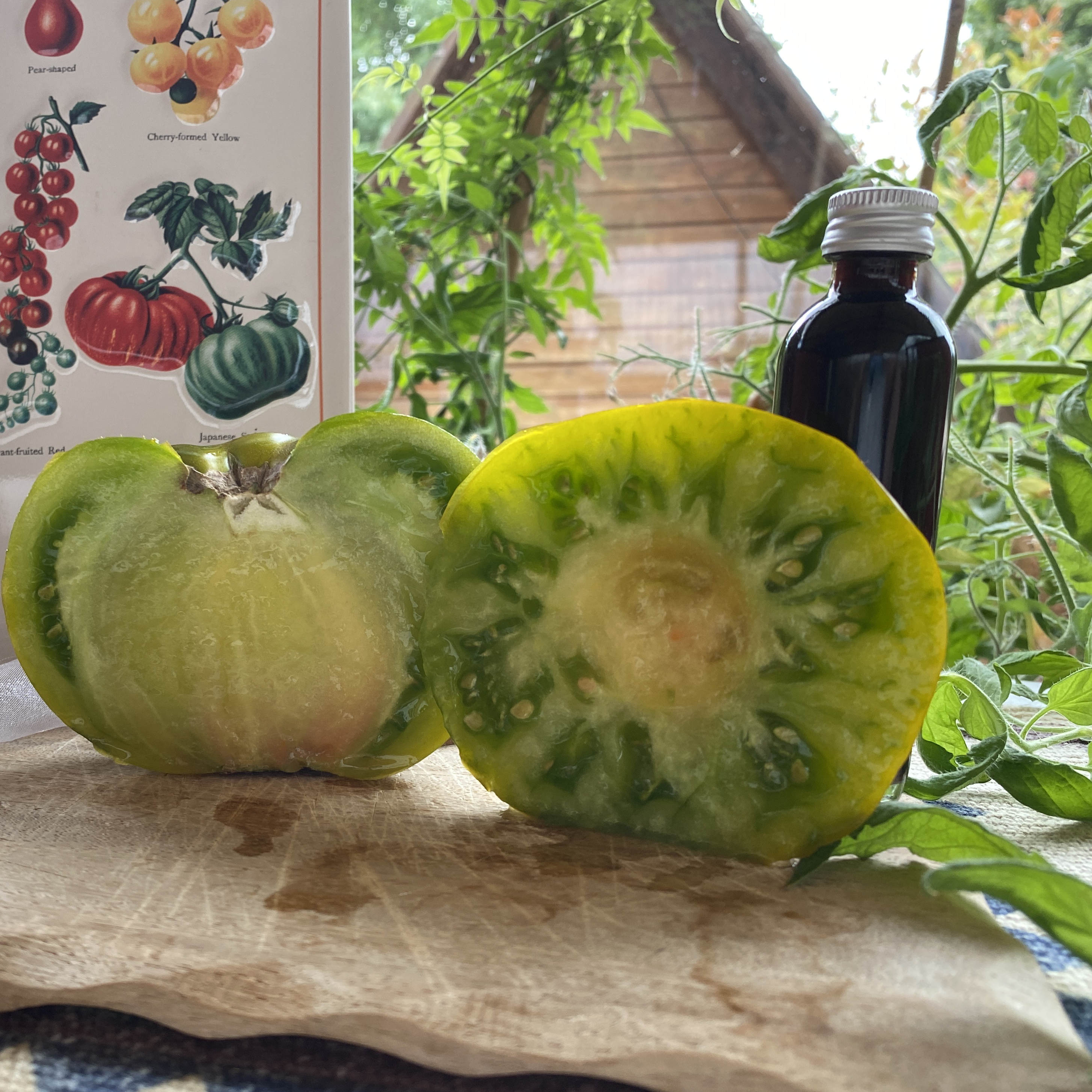 Tomatensaatgut Grüne von der Moldau