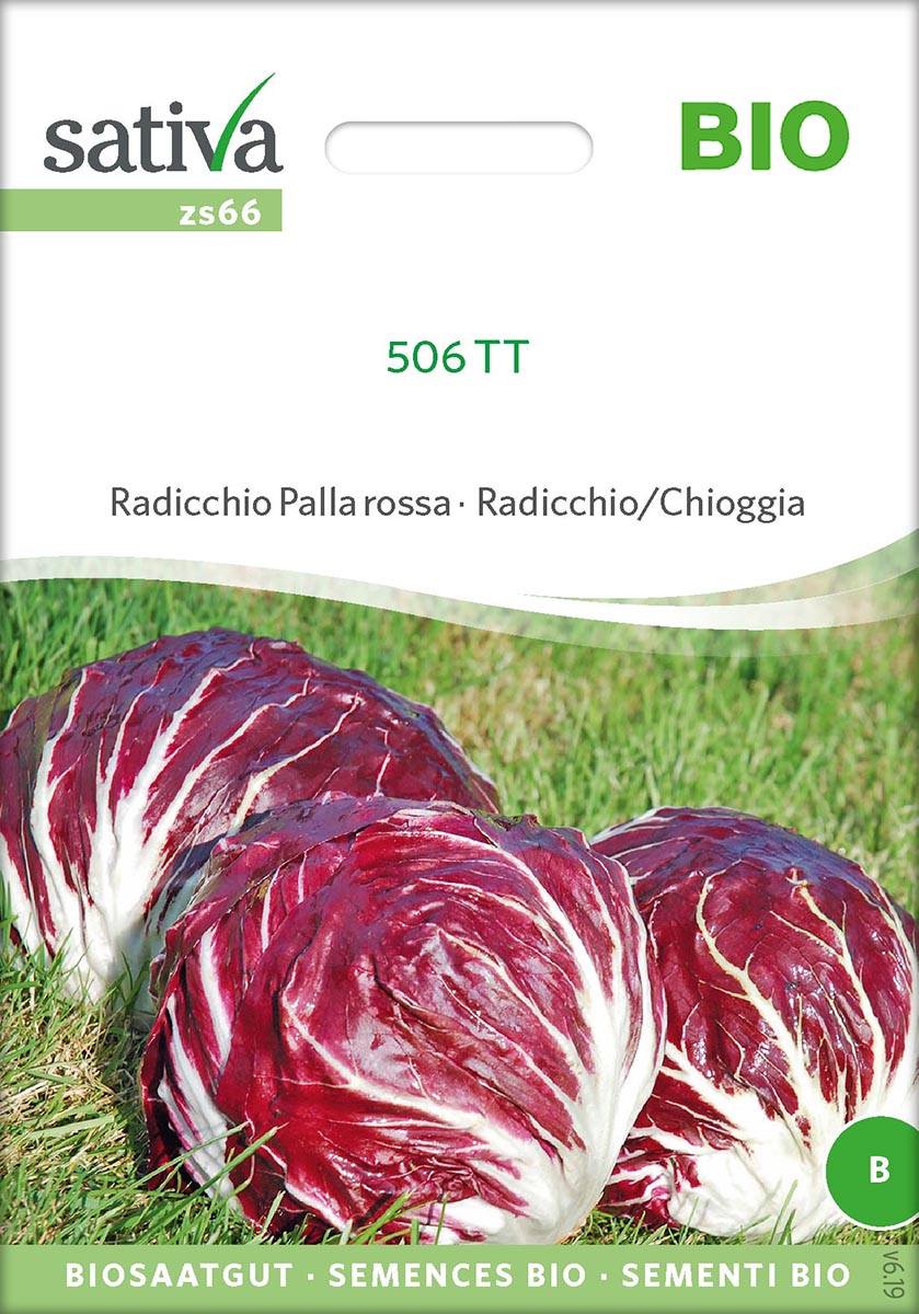 Saatgut Radicchio Palla Rossa -S-