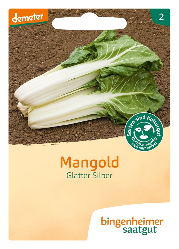 Saatgut Mangold Glatter Silber -B-