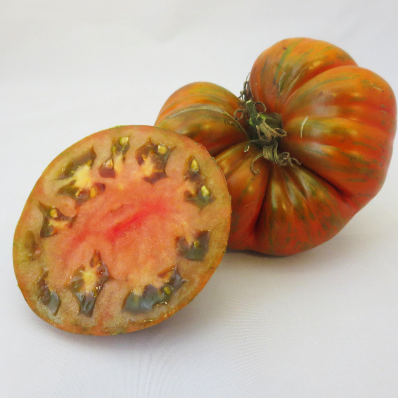 Schöne gestreifte Bio Tomate