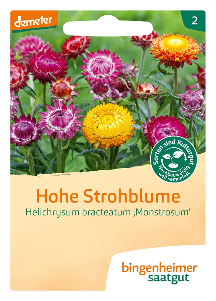 Saatgut Hohe Strohblume -B-