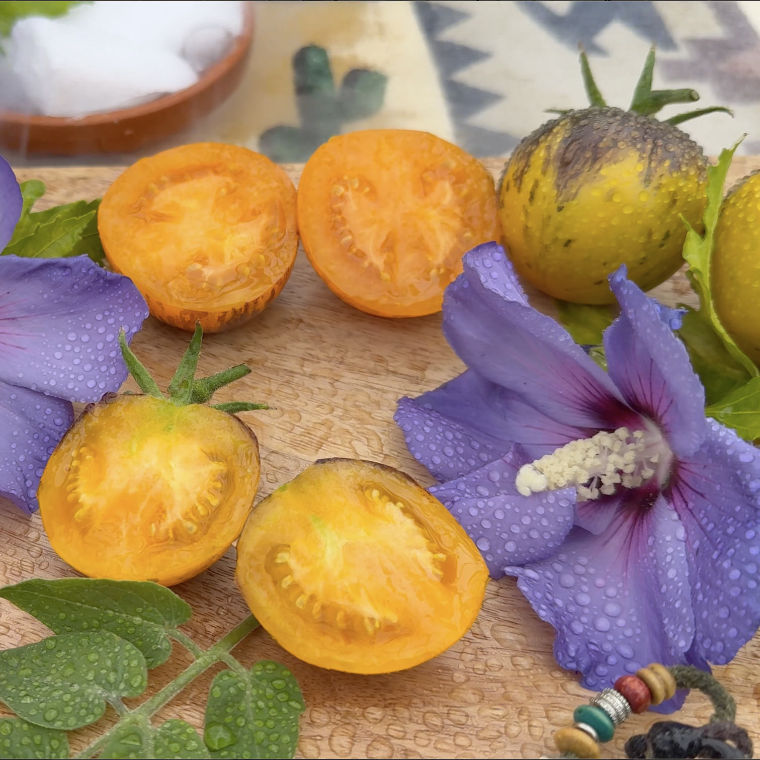 Tomatensaatgut Märchenmond