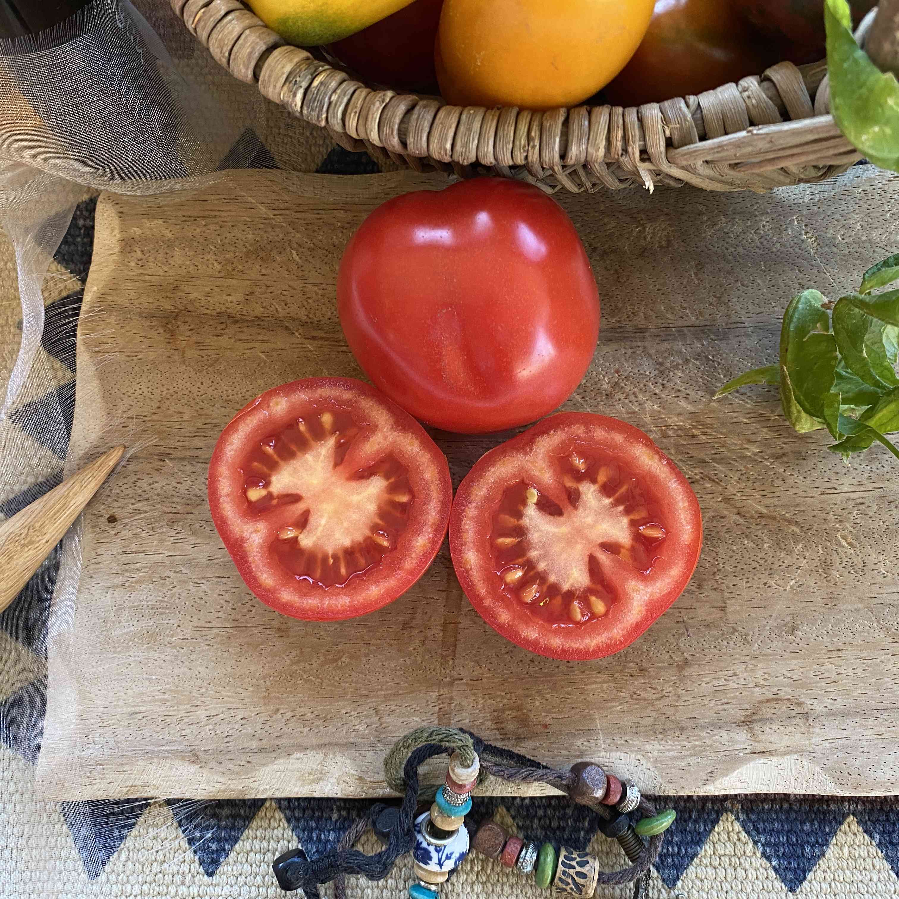 Tomatensaatgut Uta