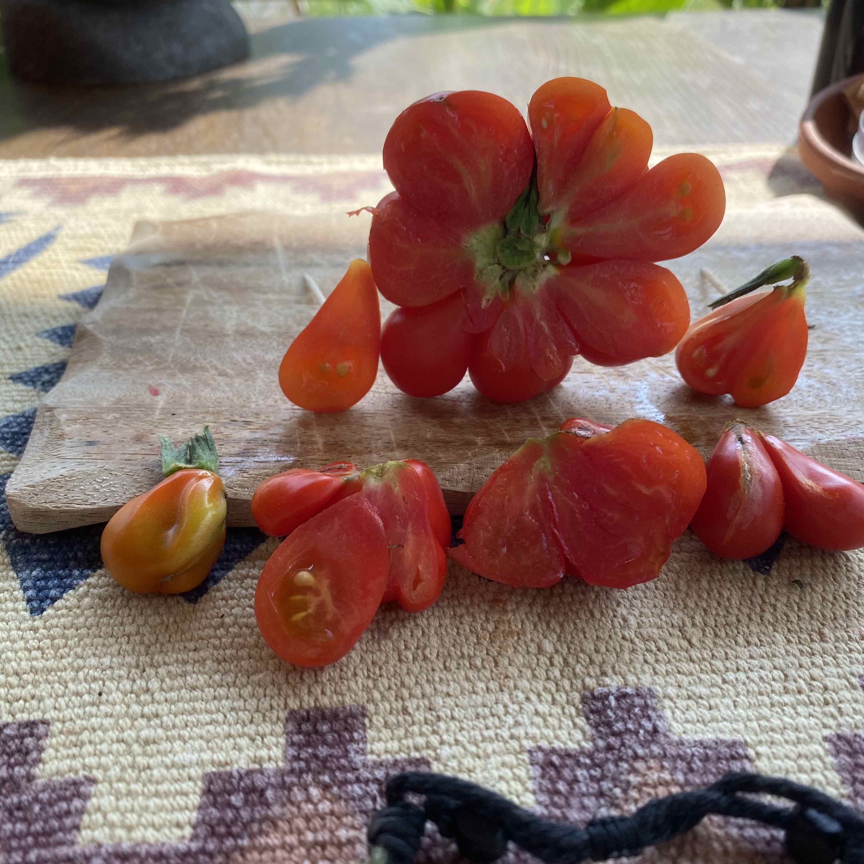 Tomatensaatgut Reise-Zehen-Tomate