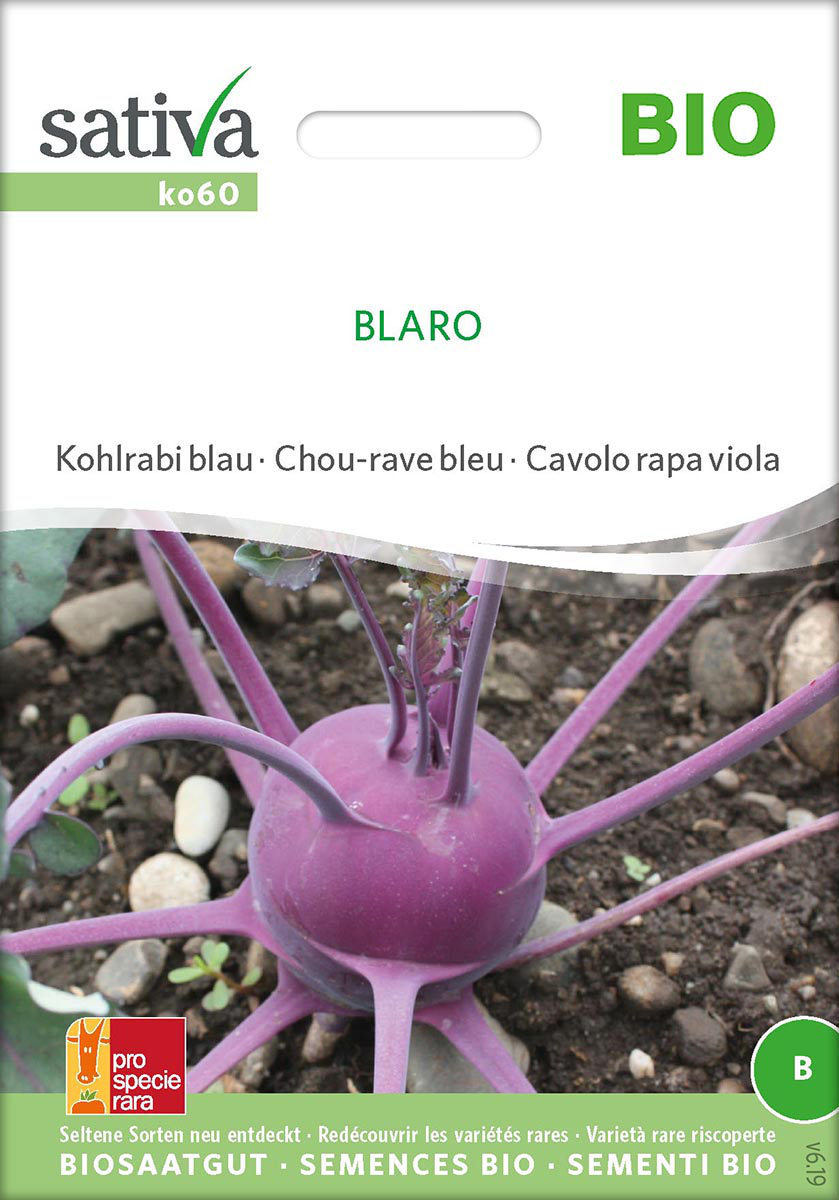 Saatgut Kohlrabi Blau Blaro -S-