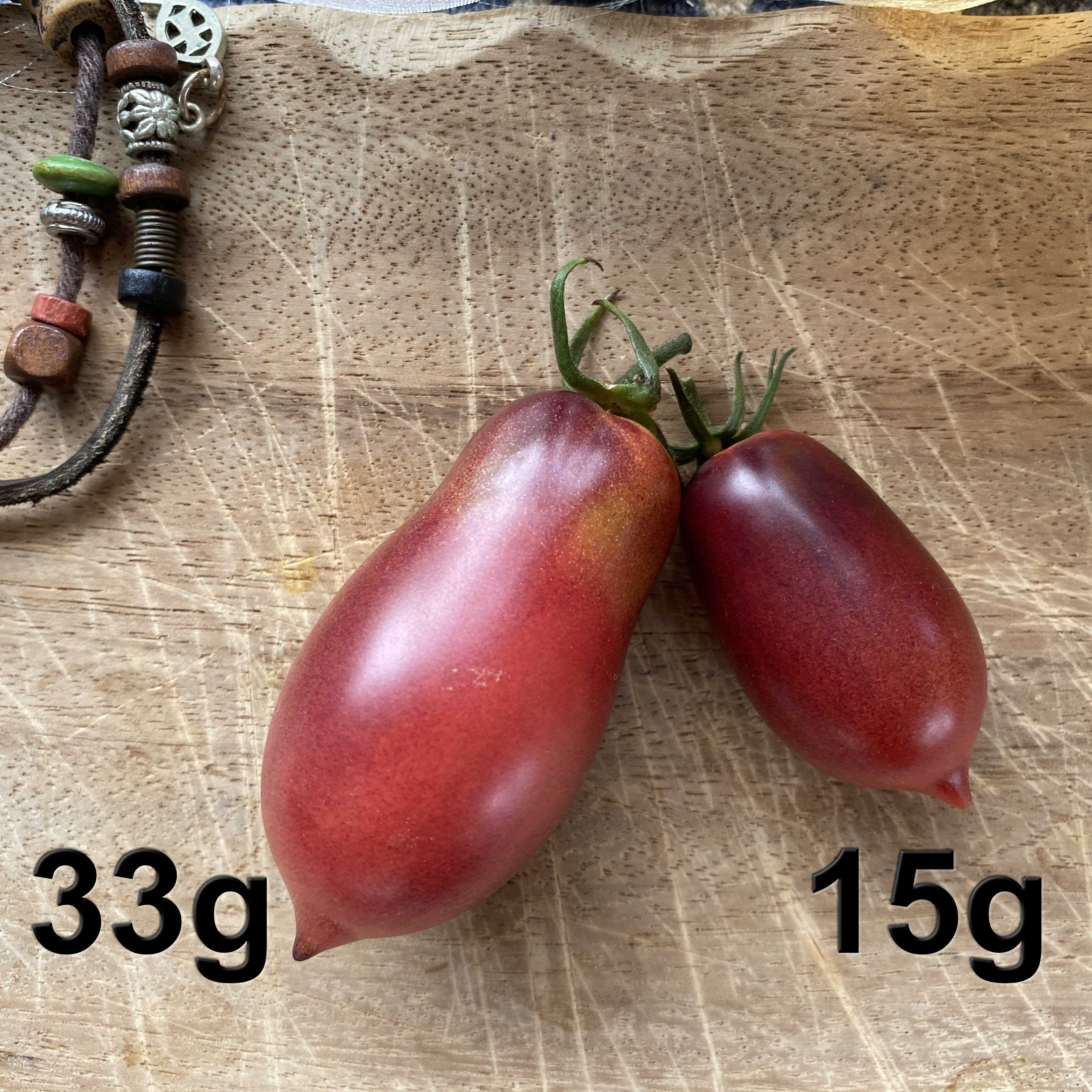Tomatensaatgut Märchenfee
