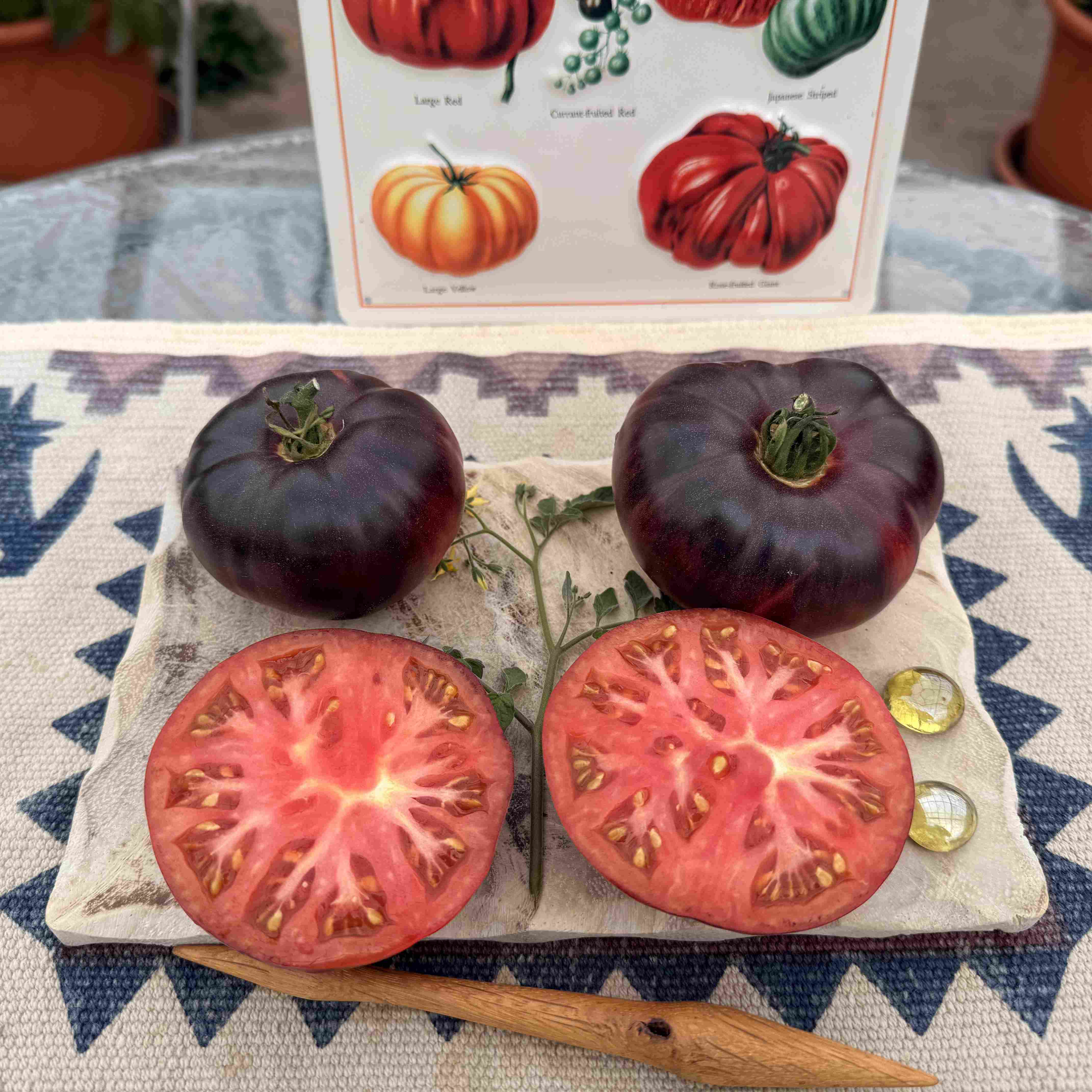 Tomatensaatgut Blue Beauty