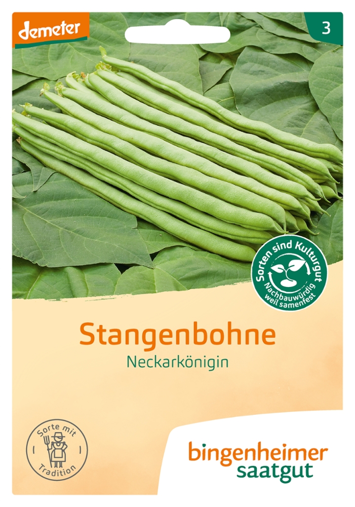 Saatgut Stangenbohne Neckarkönigin -B-