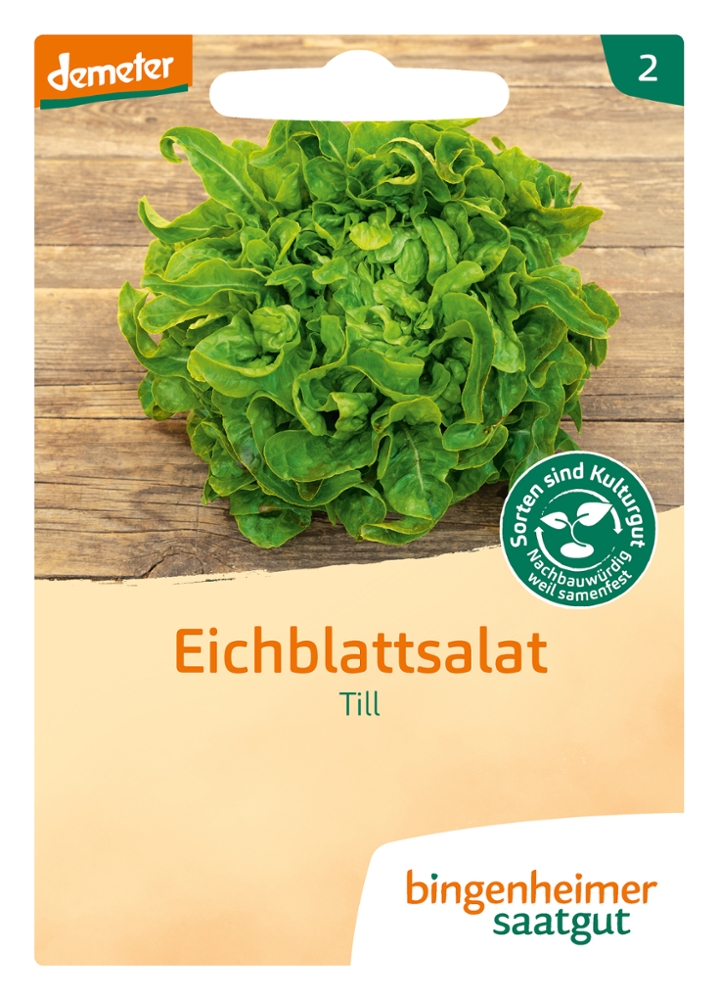 Saatgut Eichblattsalat Till -B-