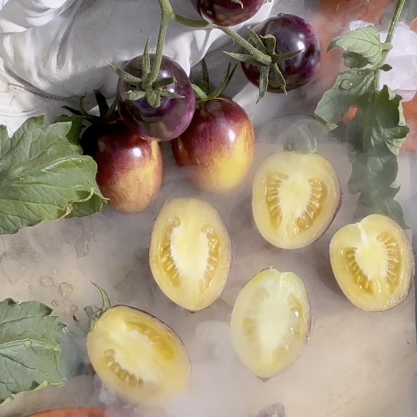 Tomatensaatgut Märchenmagie